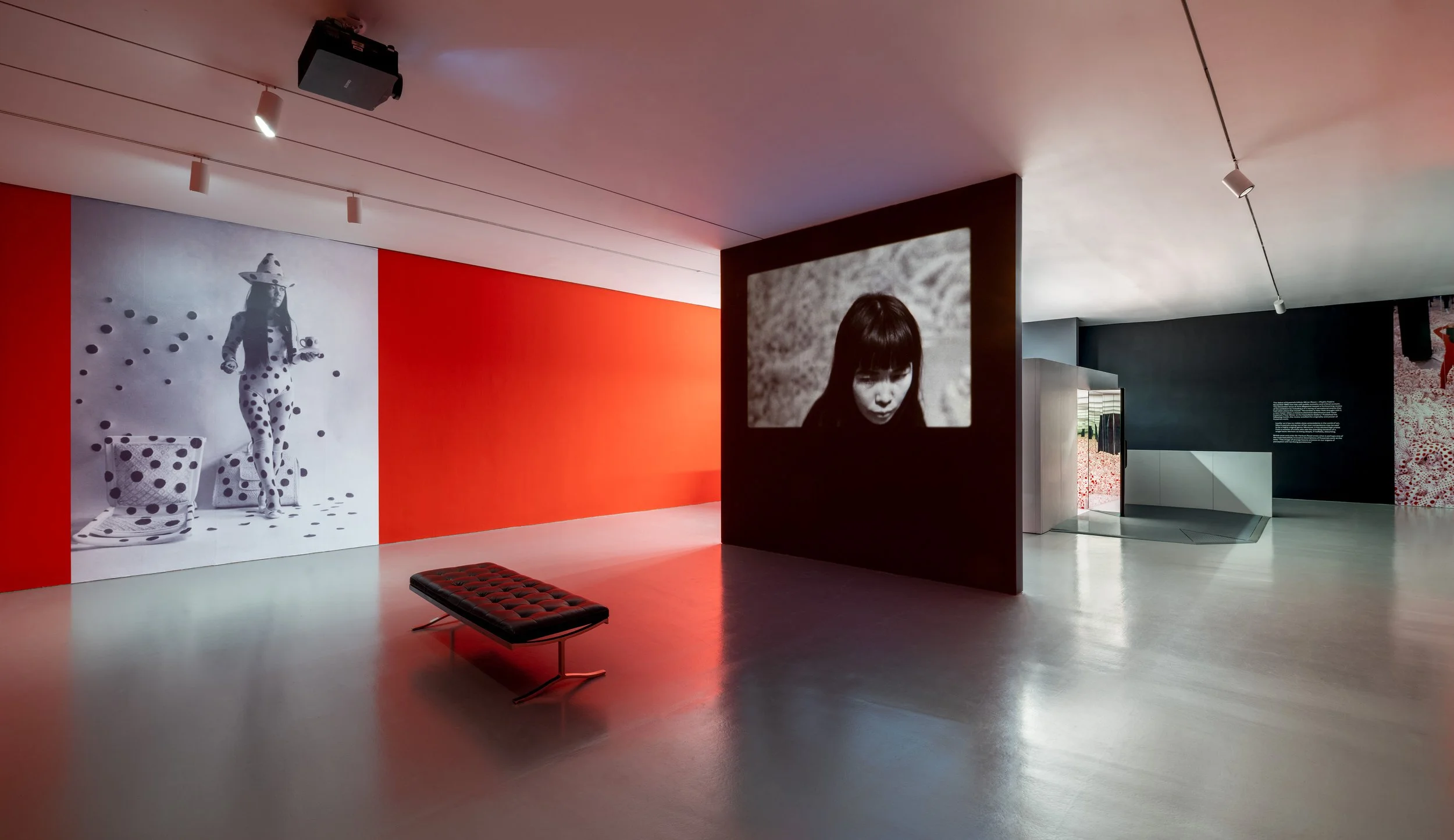 One with Eternity:  Yayoi Kusama in the Hirshhorn Collection / Hirshhorn Museum, Washington, DC