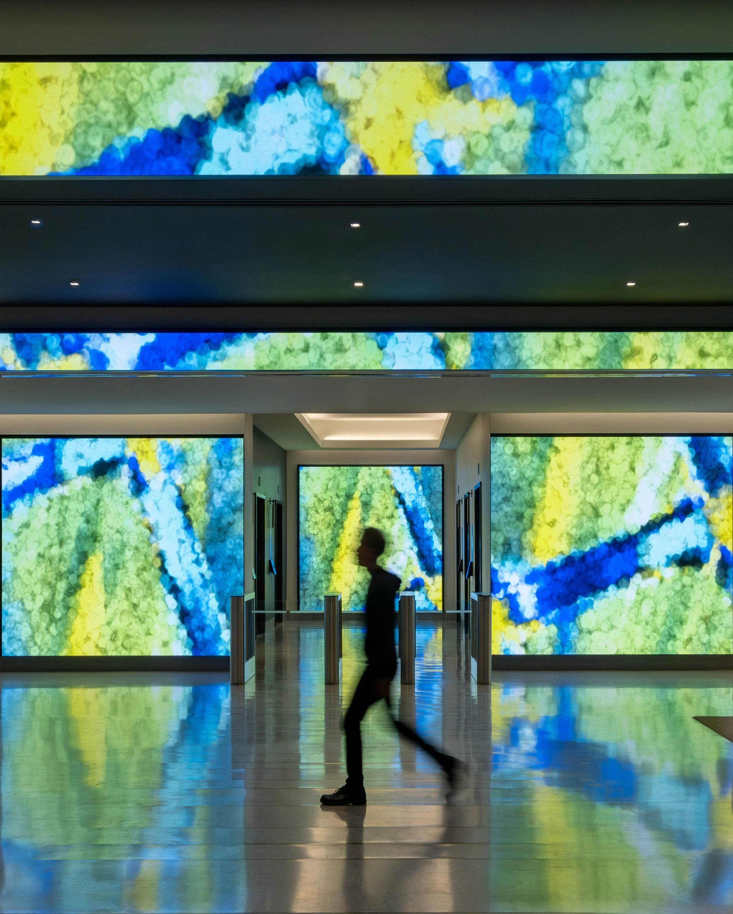 Bristol Myers Squibb