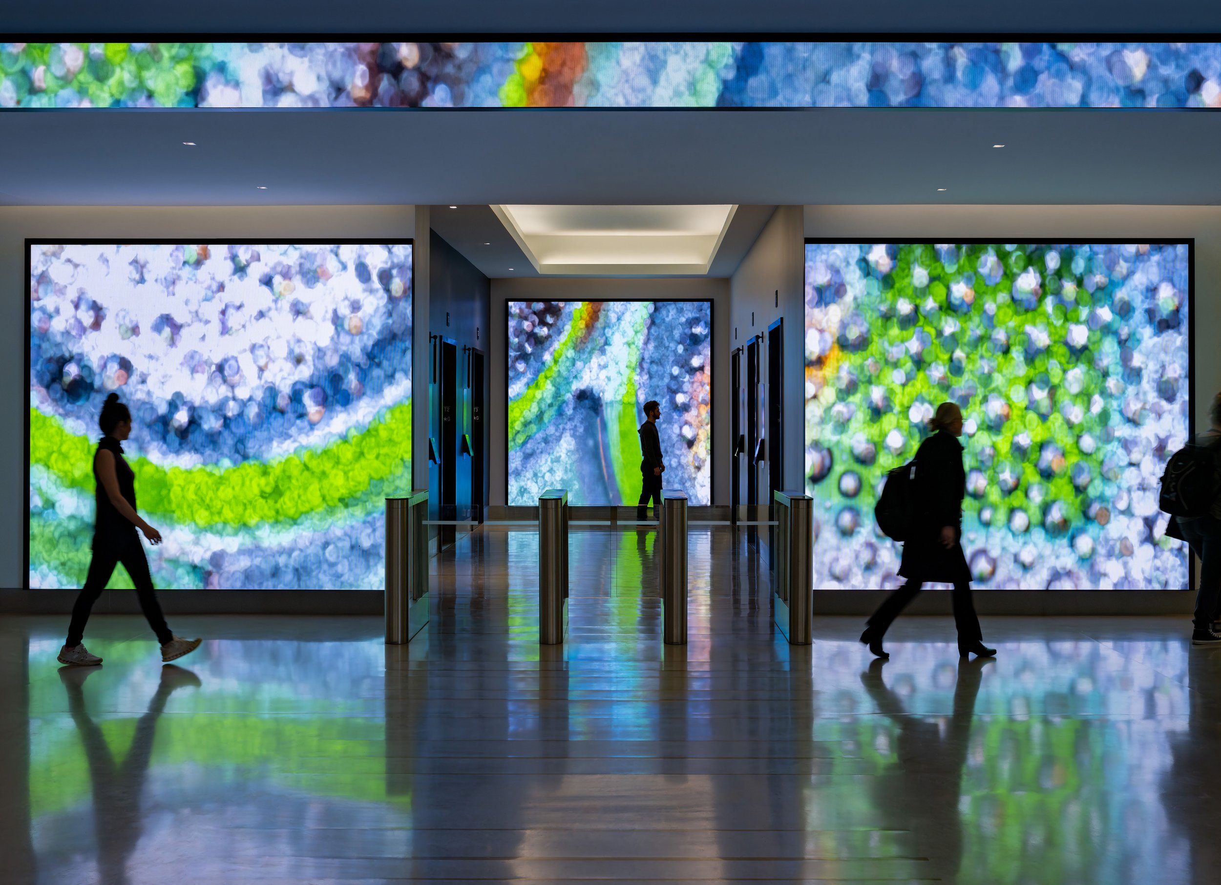 Bristol Myers Squibb, Cambridge, MA / Designer:  The LAB at Rockwell Group