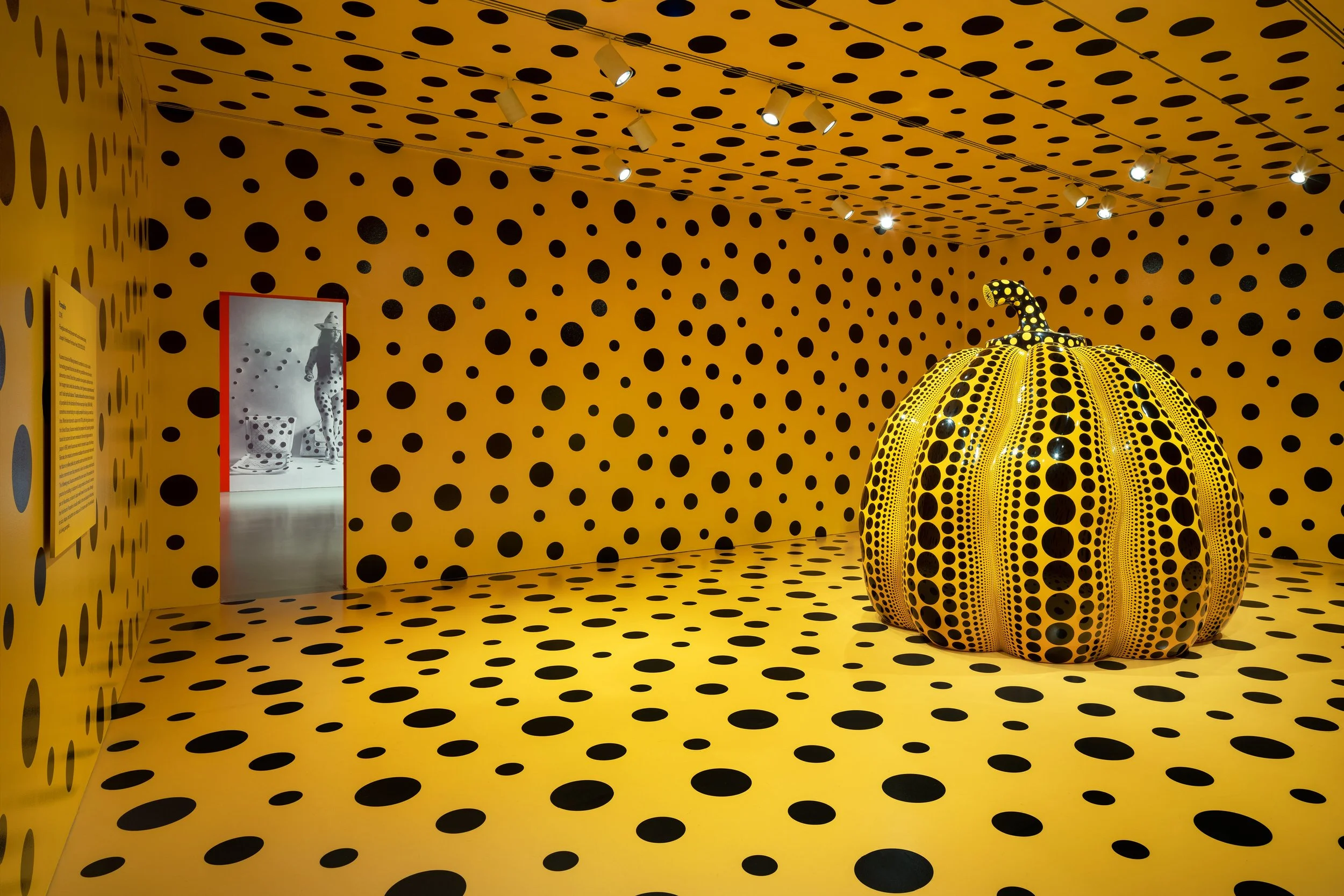 Yayoi Kusama, Pumpkin (2016) / Hirshhorn Museum, Washington, DC