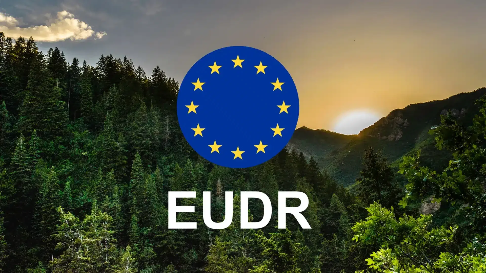 🚀 Introducing BRIDGE: A Smarter Way to Connect SAP to EUDR