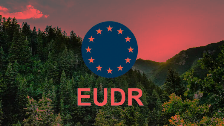 🖥️ How We Submit EUDR DDS Statements via SAP iDocs — A Working Demo_