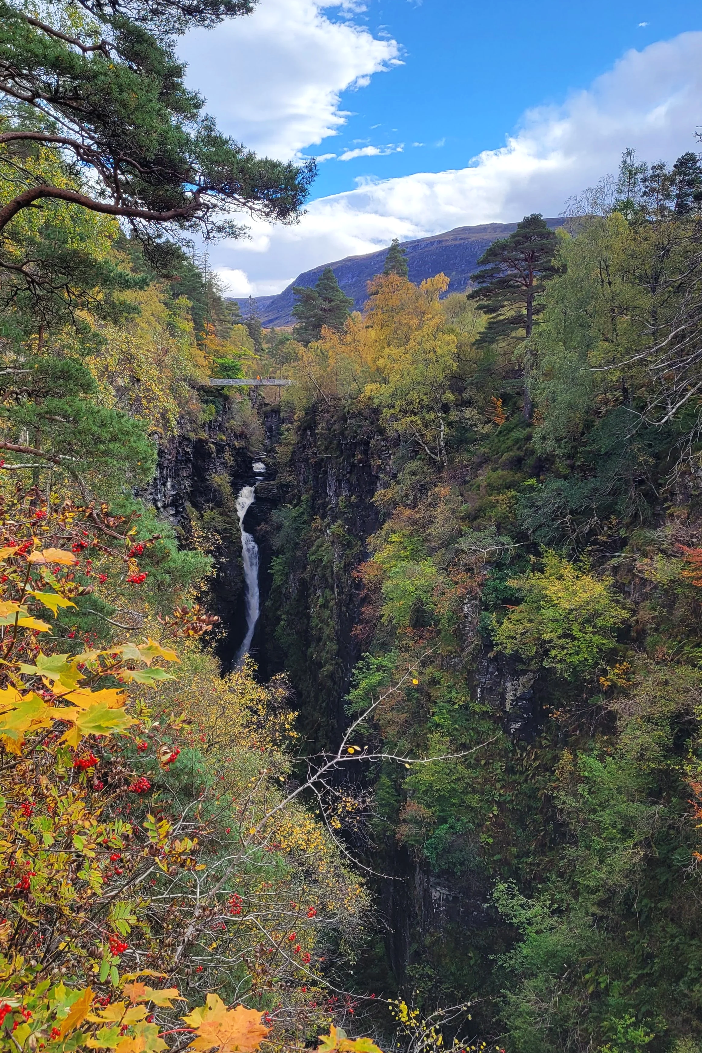 fall colours on the trees bright red berries the gorge visible with a waterfall streaming into it