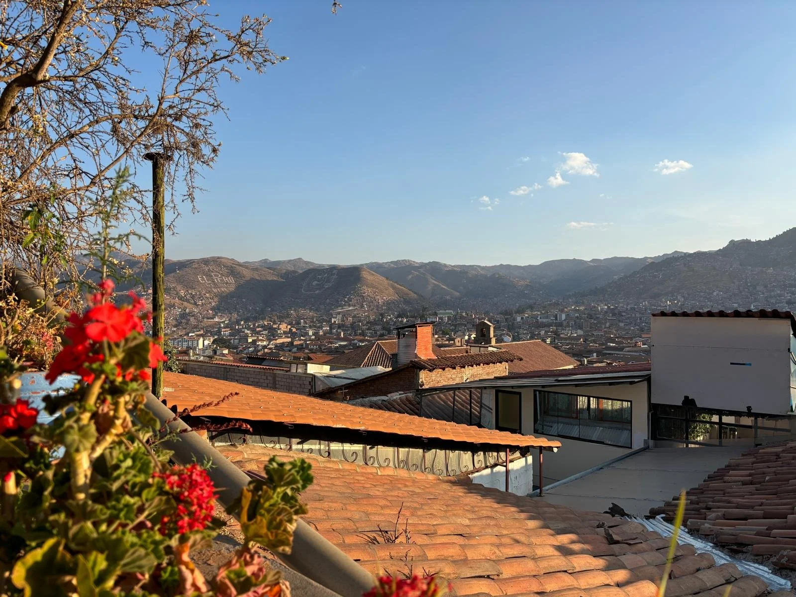 red flowers in the foreground the view is terracotta tiled roofs, cusco sprawling out into the mountains