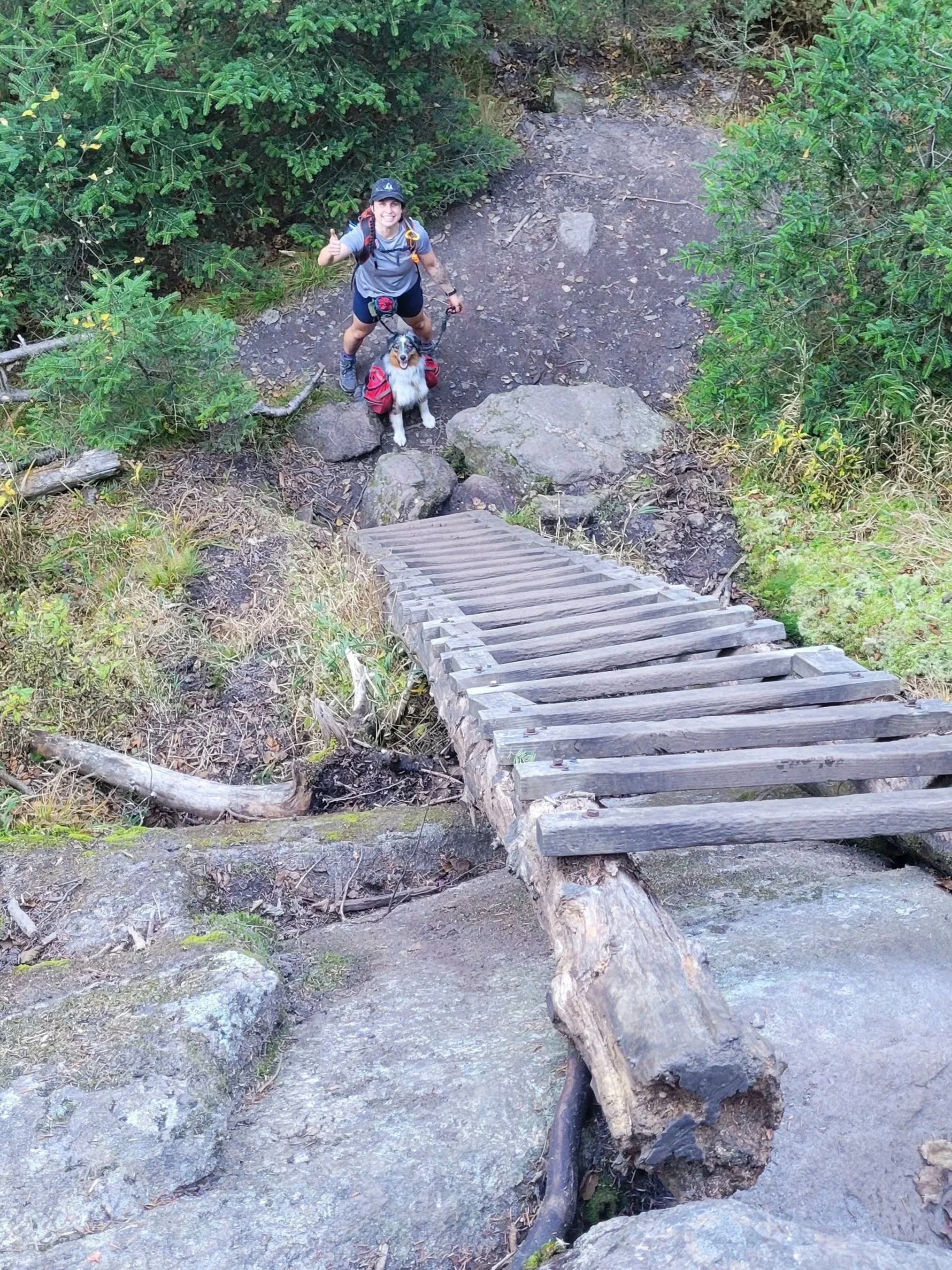 Andie and Juno looking up the ladder they are about to climb.