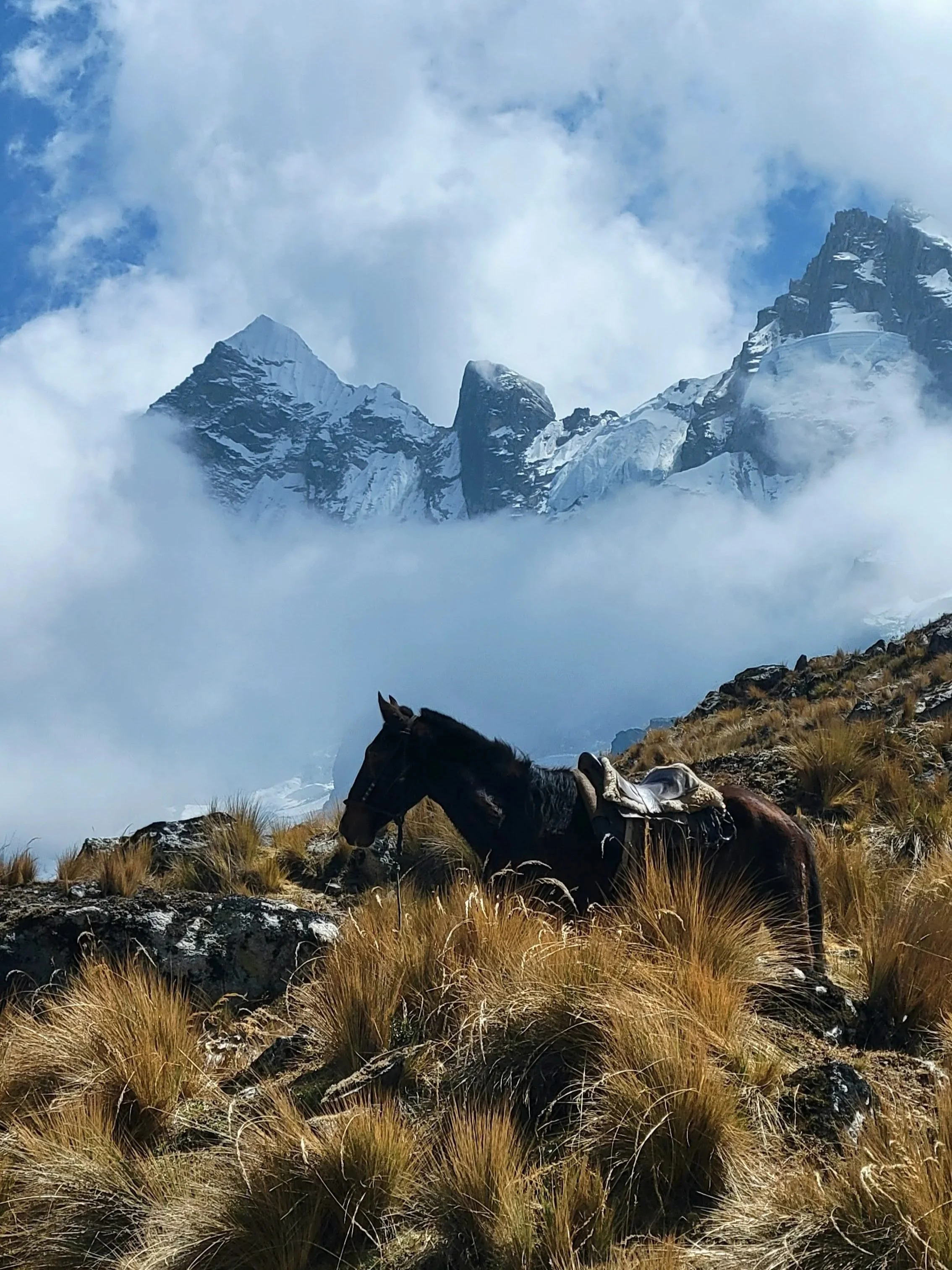 Day 2 Salkantay Trek