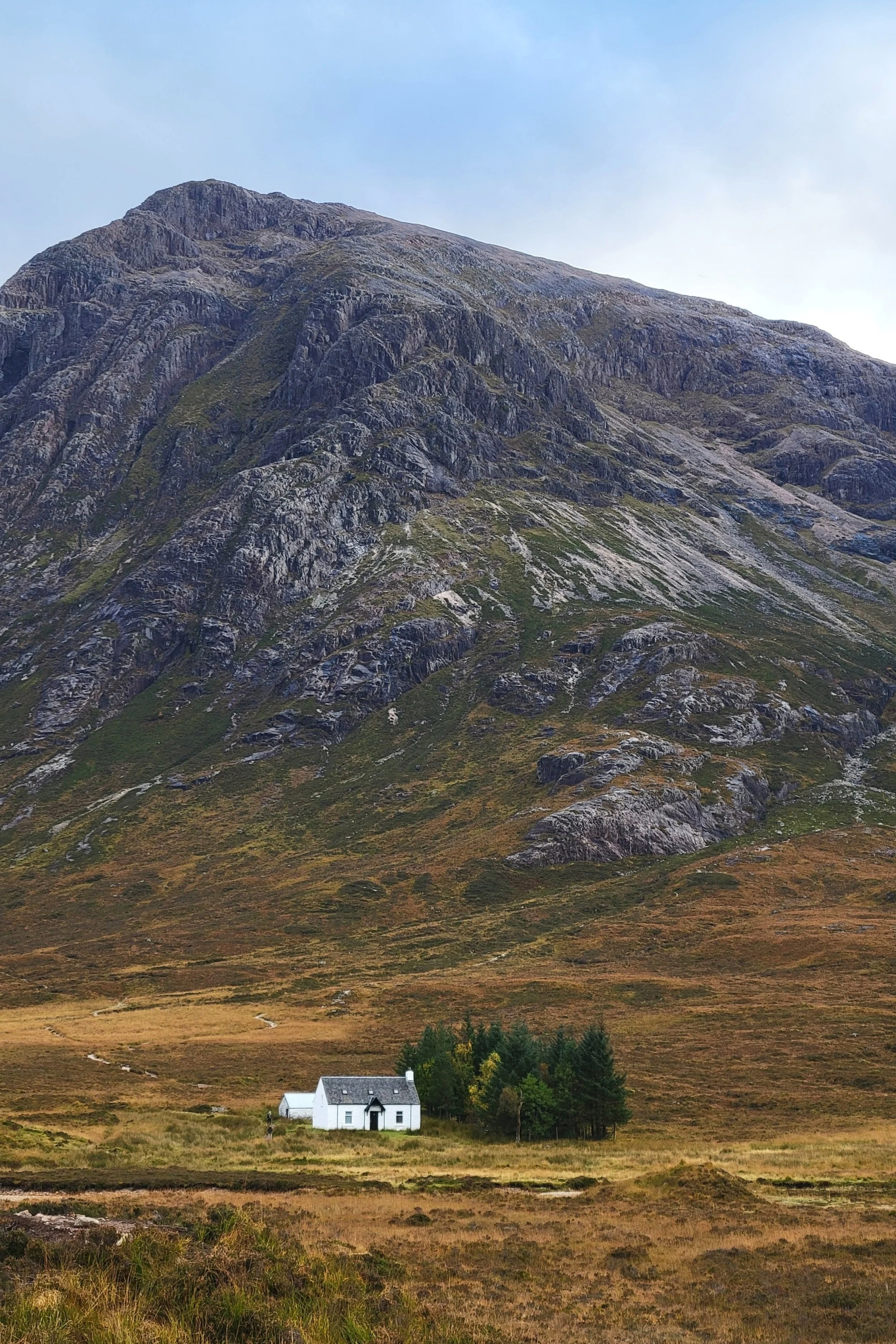 small white cottage with grey roof sits in valley next to a small cluster of evergreens. A munro dominates the background