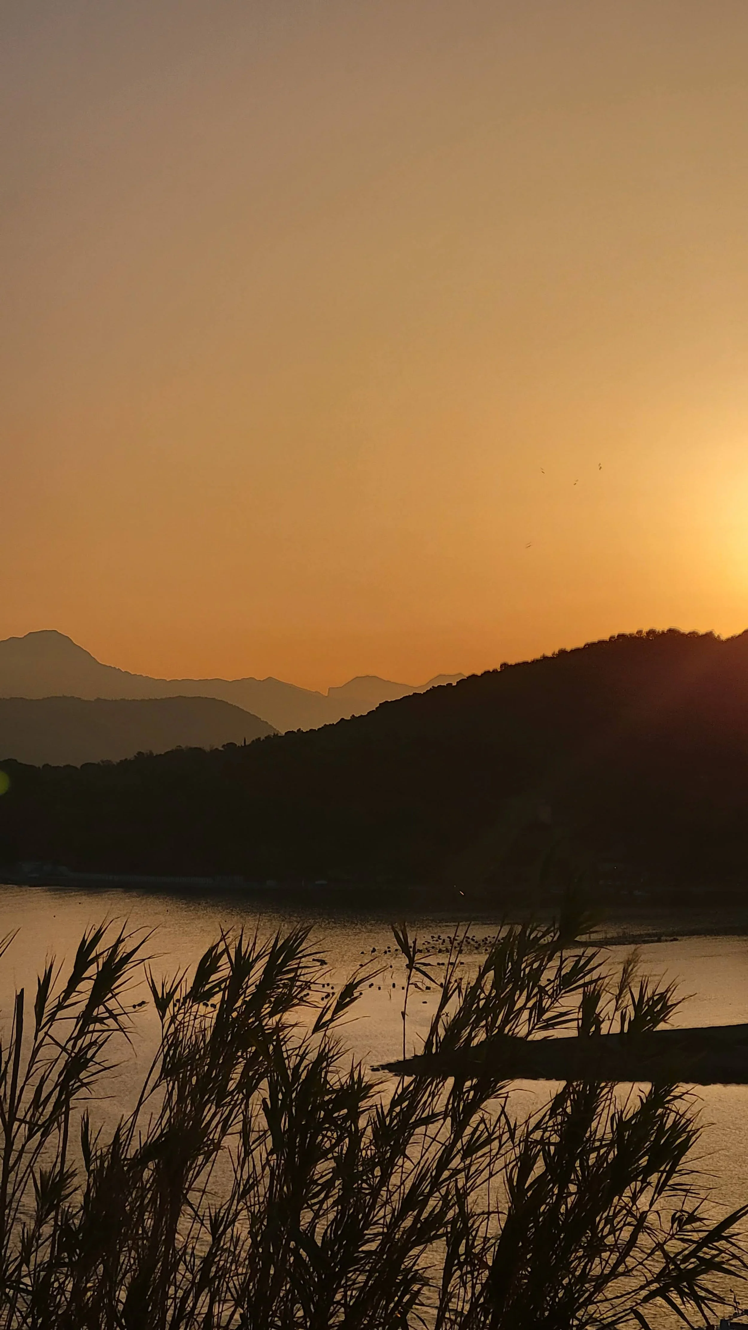 Sunrise from Doria Castle grounds