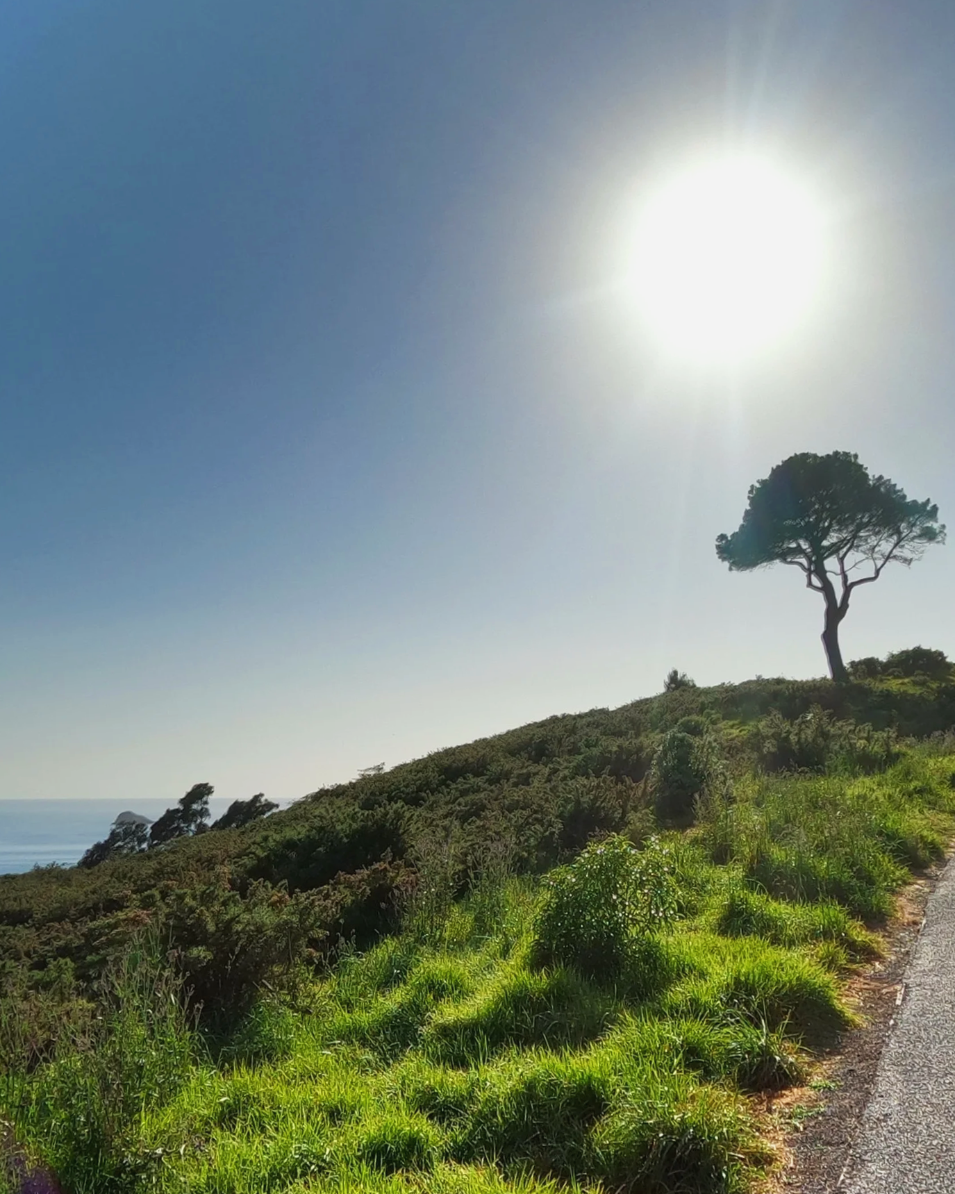 North Island Day Treks