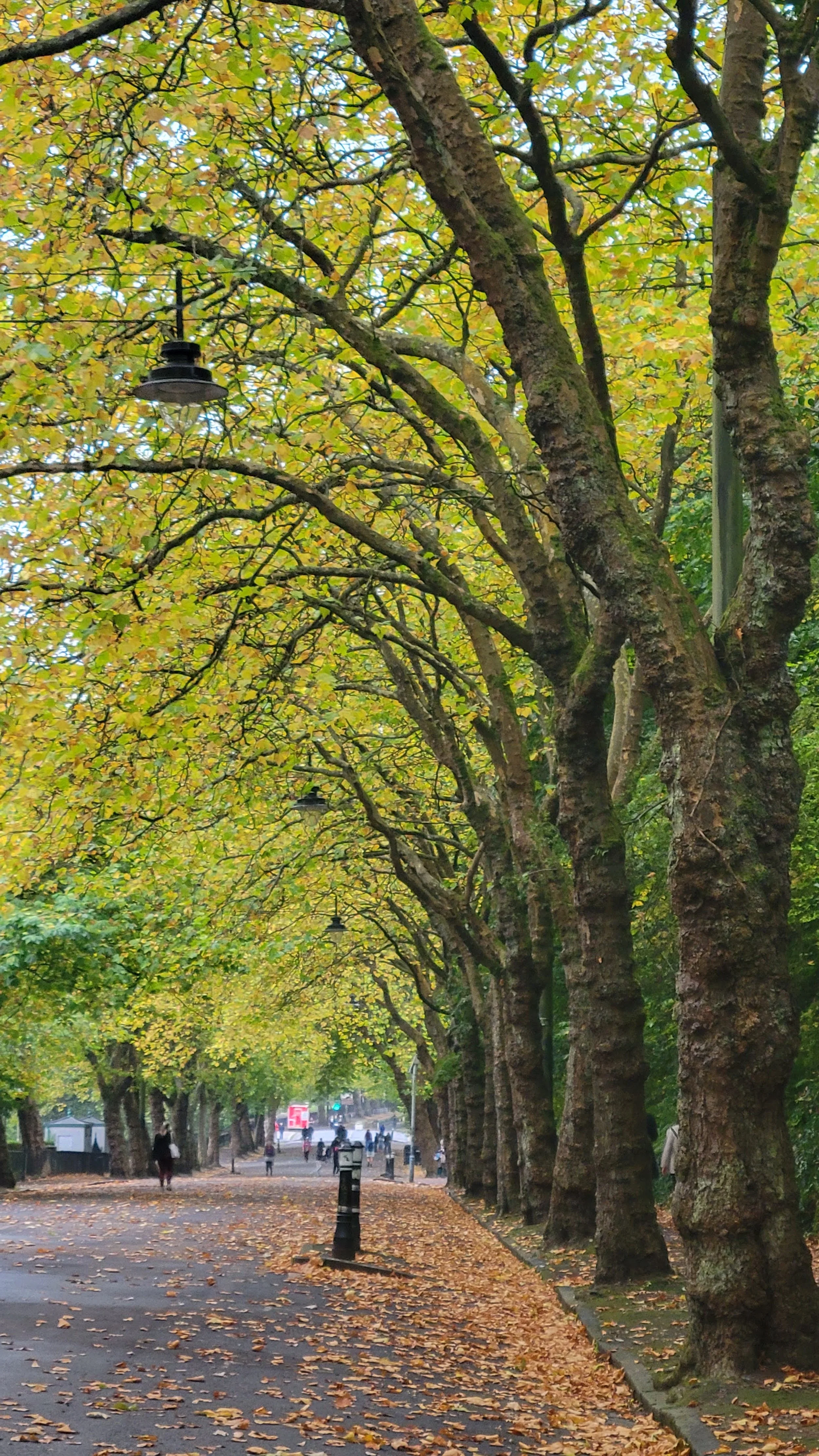 Near University of Glasgow campus