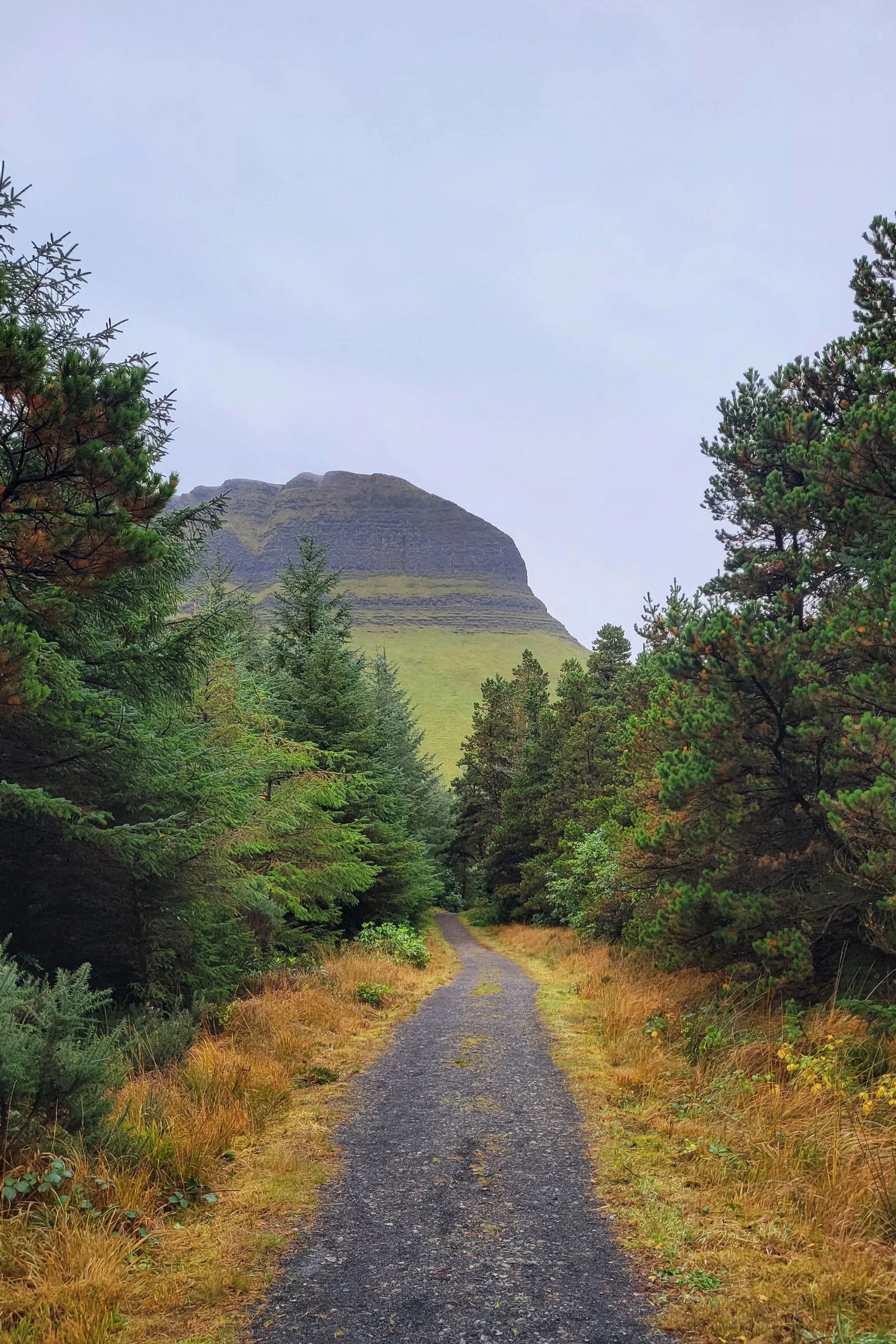 Irish Roadtrip pt. 6 | County Sligo
