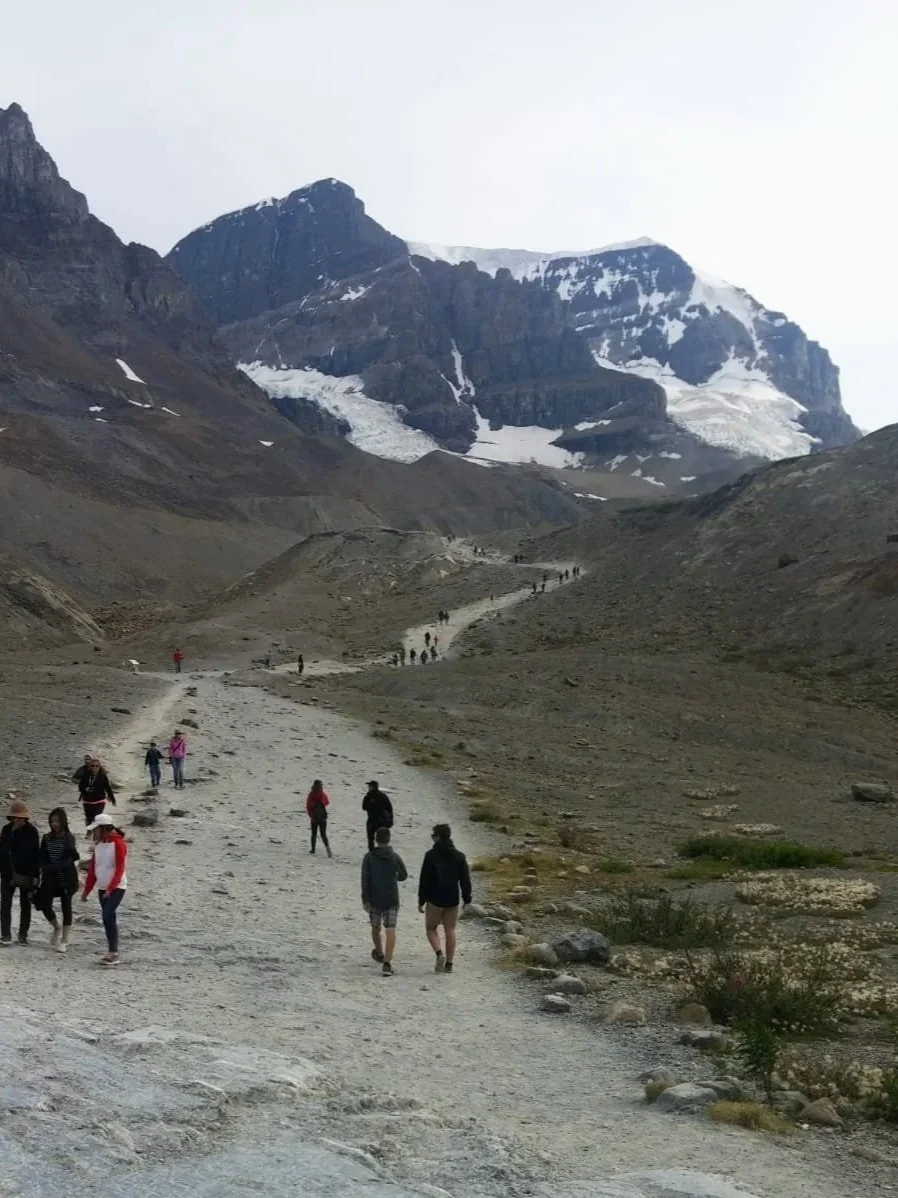 Trail leading to the glacier