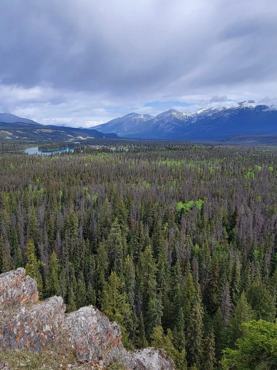Views from the Old Fort viewpoint