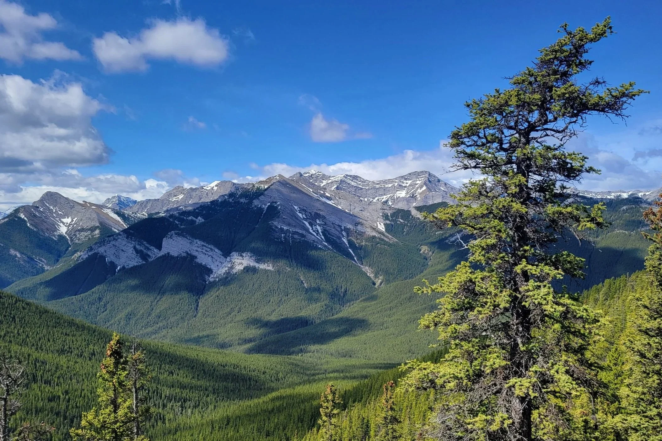 The view from the top of Prairie View Trail