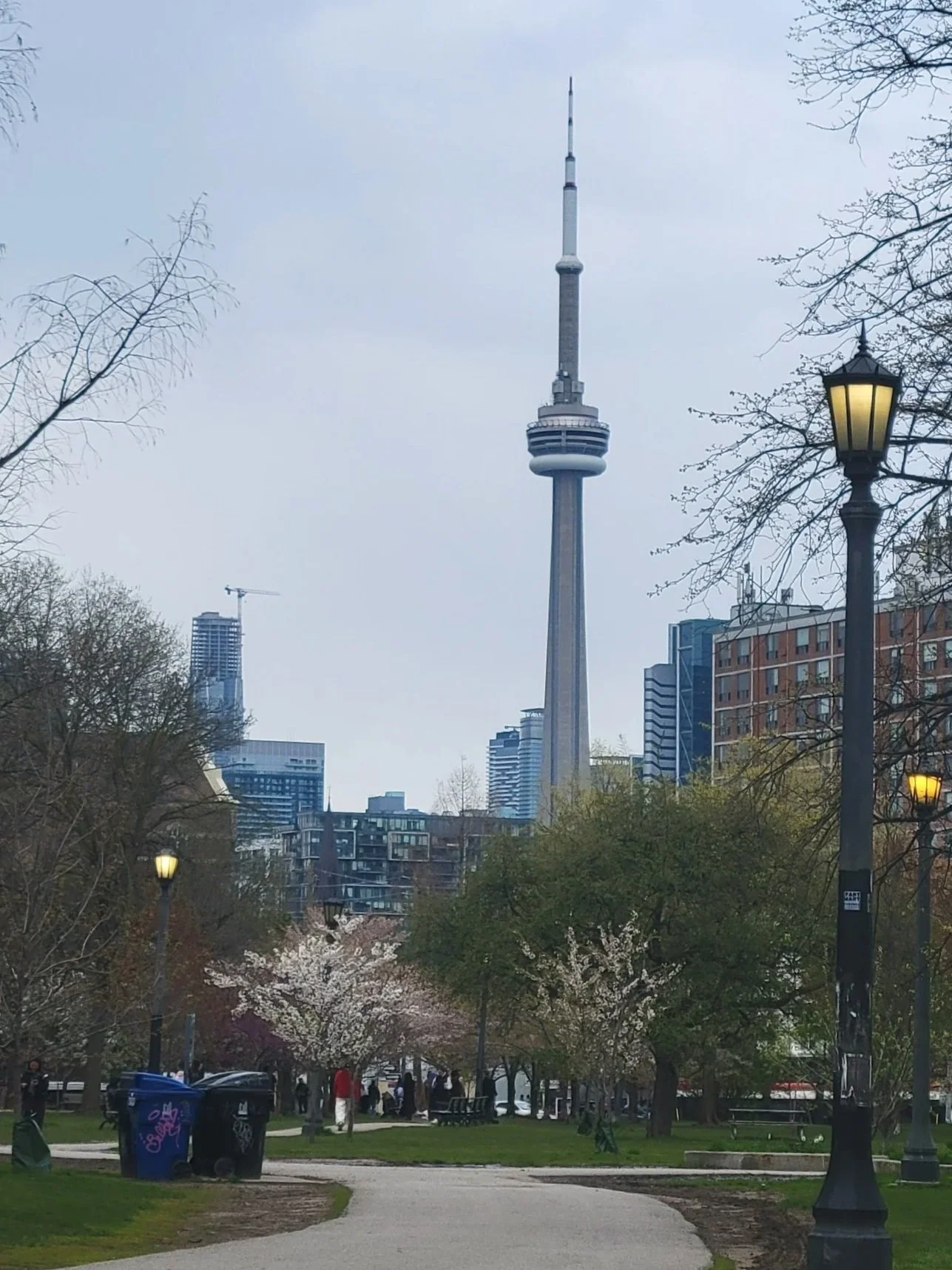 processed_20260507_181124.jpg