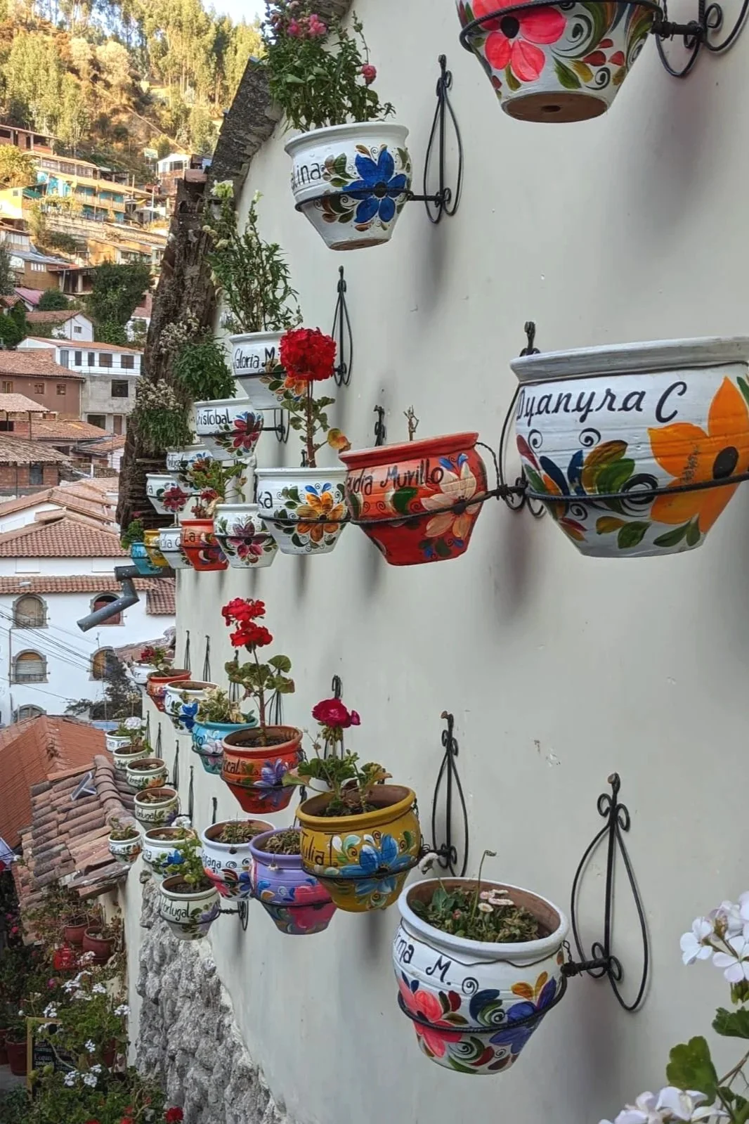 Calle Siete Borreguitos