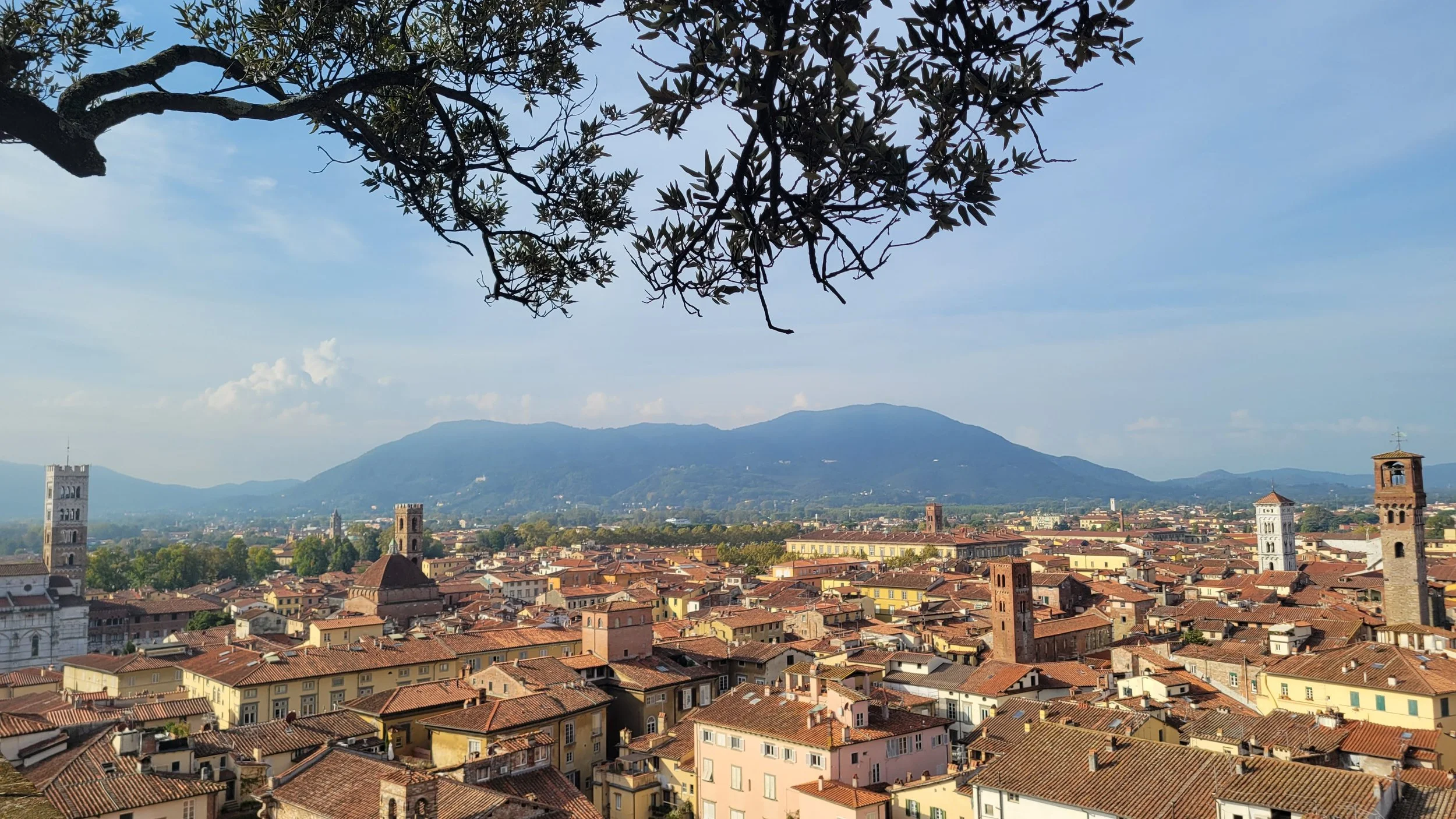 Tree visible in top left, orange terracotta roofs, towers scattered throughout the town. the hilly landscape visible in the distance