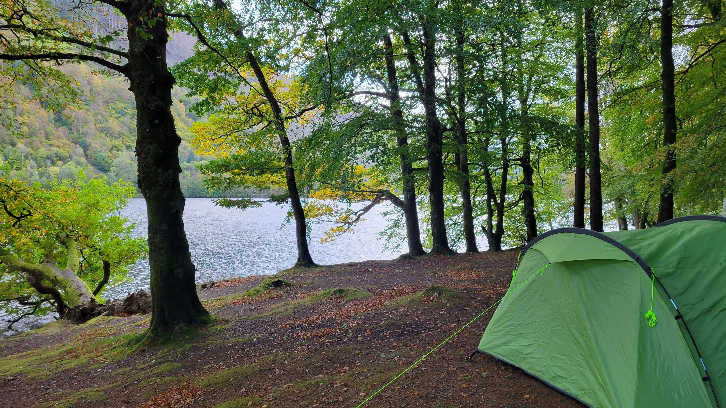 green tent pitched on a loch bank, surrounded in trees.