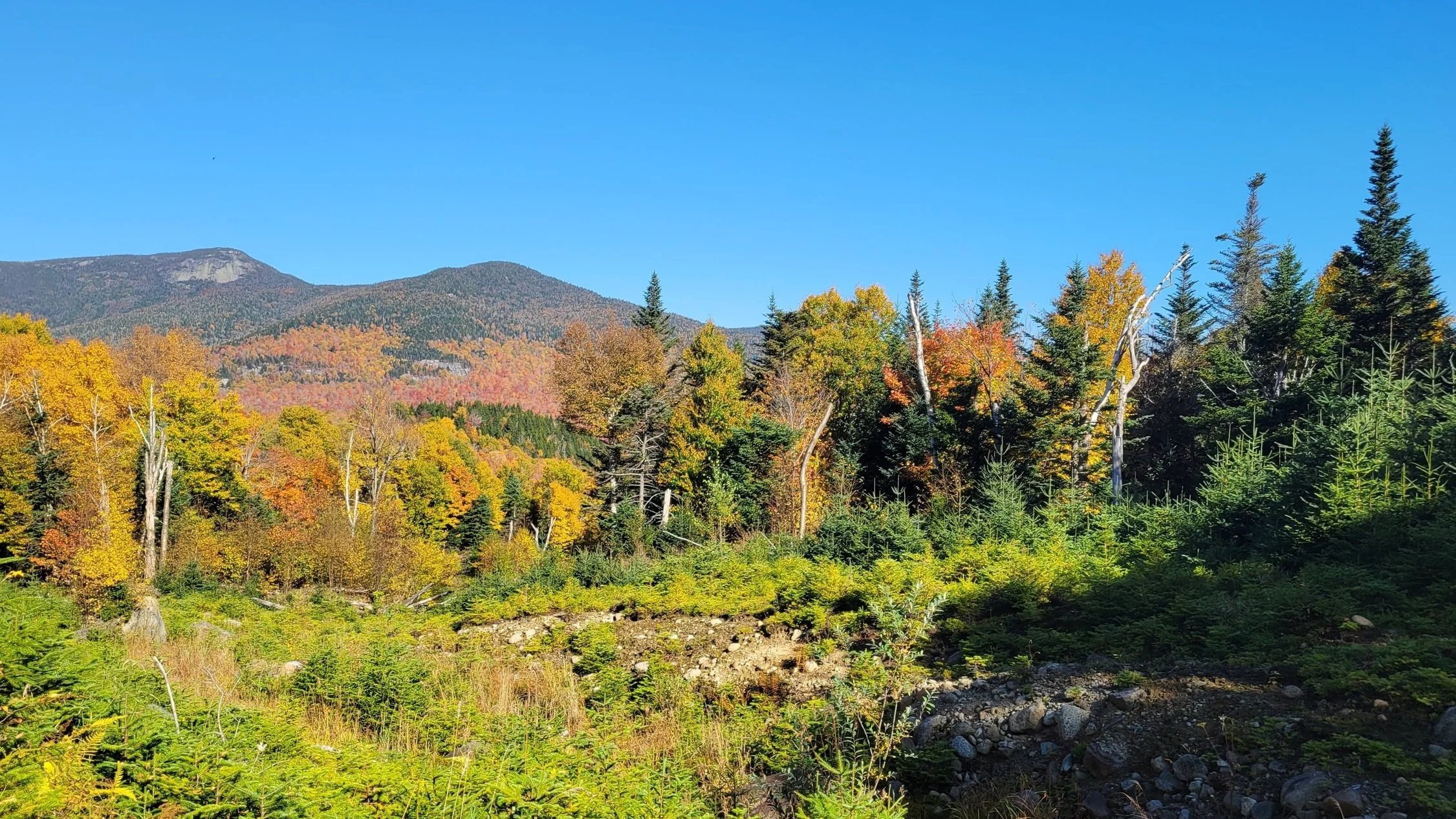 fall colours painting the adirondacks
