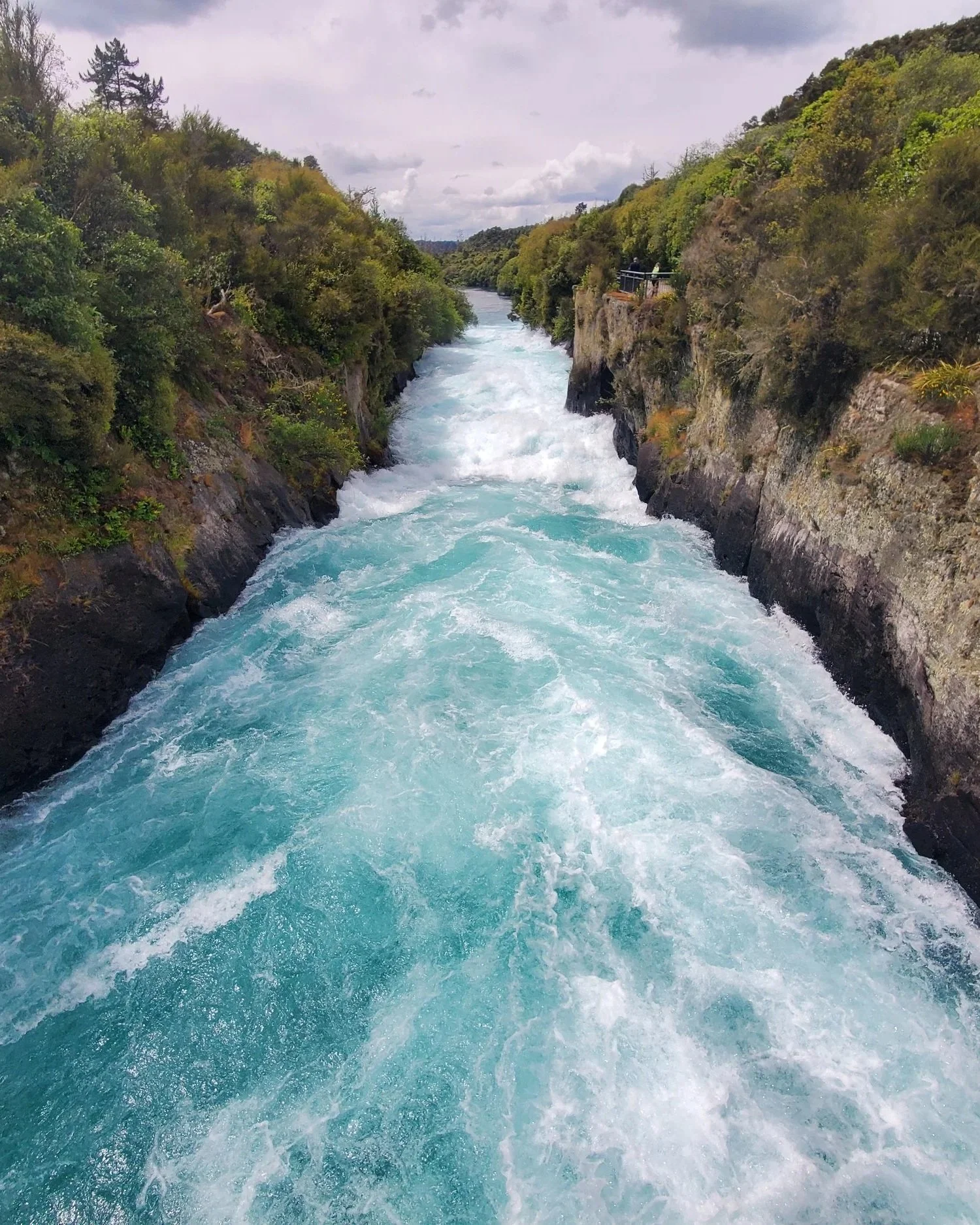 cerulean water rushing rapids, steep banks on both sides lined with thick trees