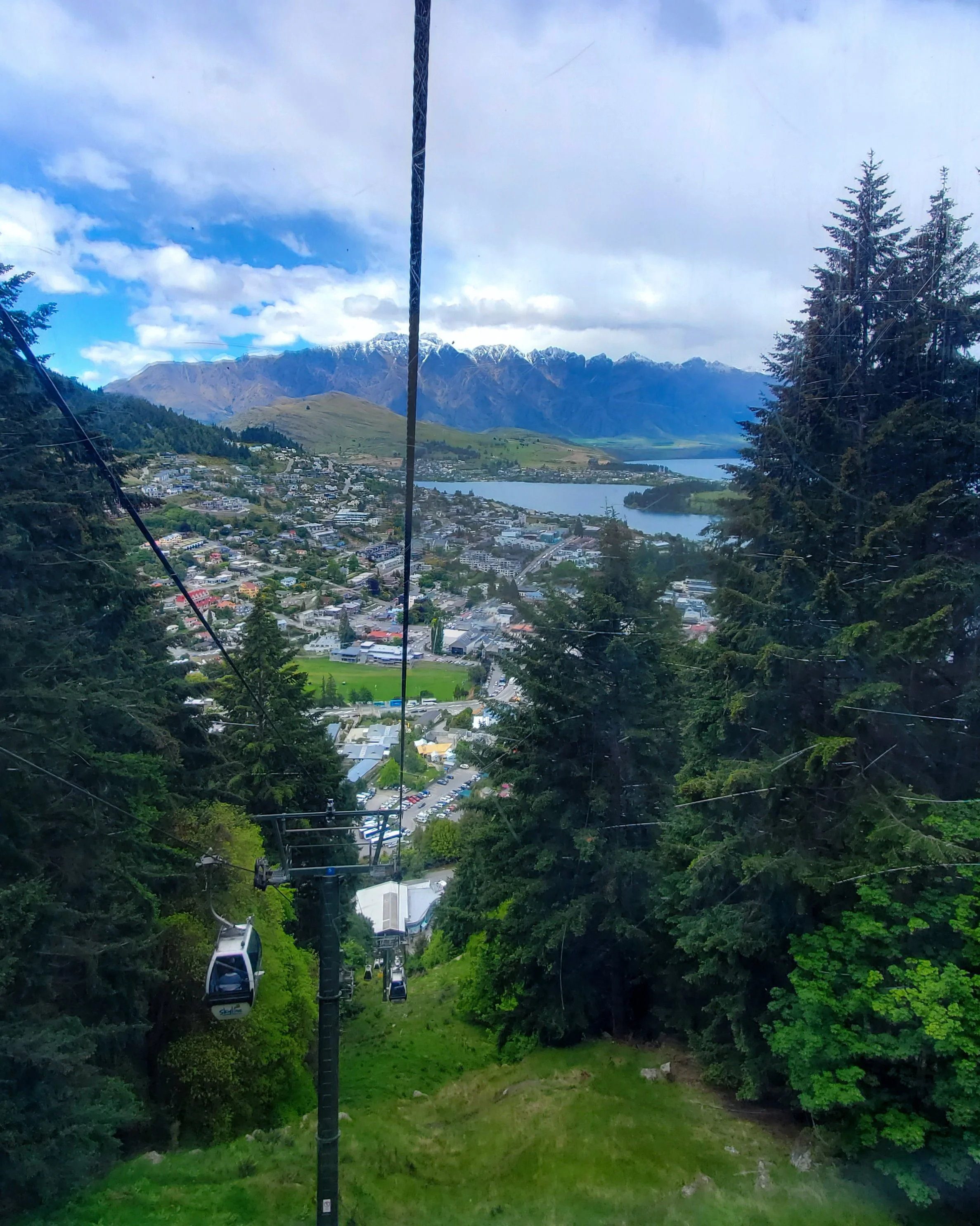 View of Queenstown from the Bob's Peak Gondola. Trees line the sides with the lake and mountains in the background.