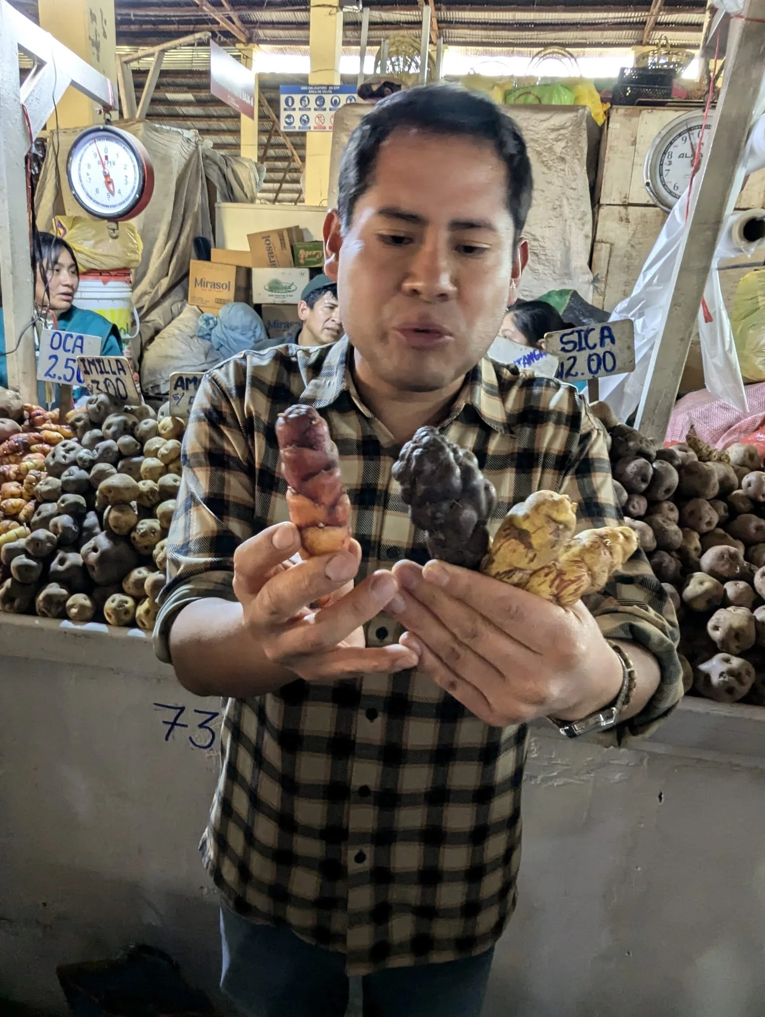 Cooking class market tour