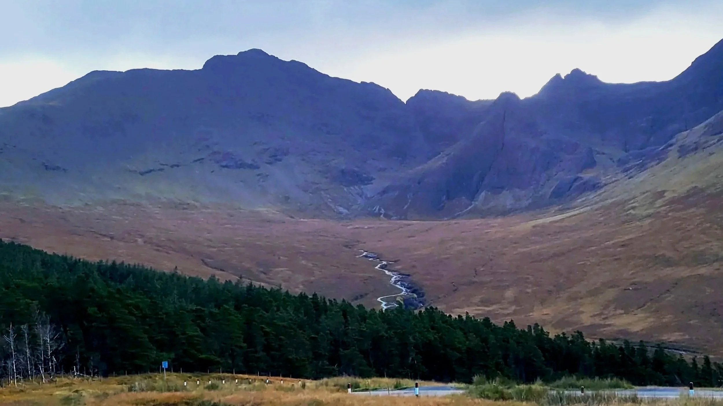 rows of evergreen trees in front of mountains with a winding river coming down the valley