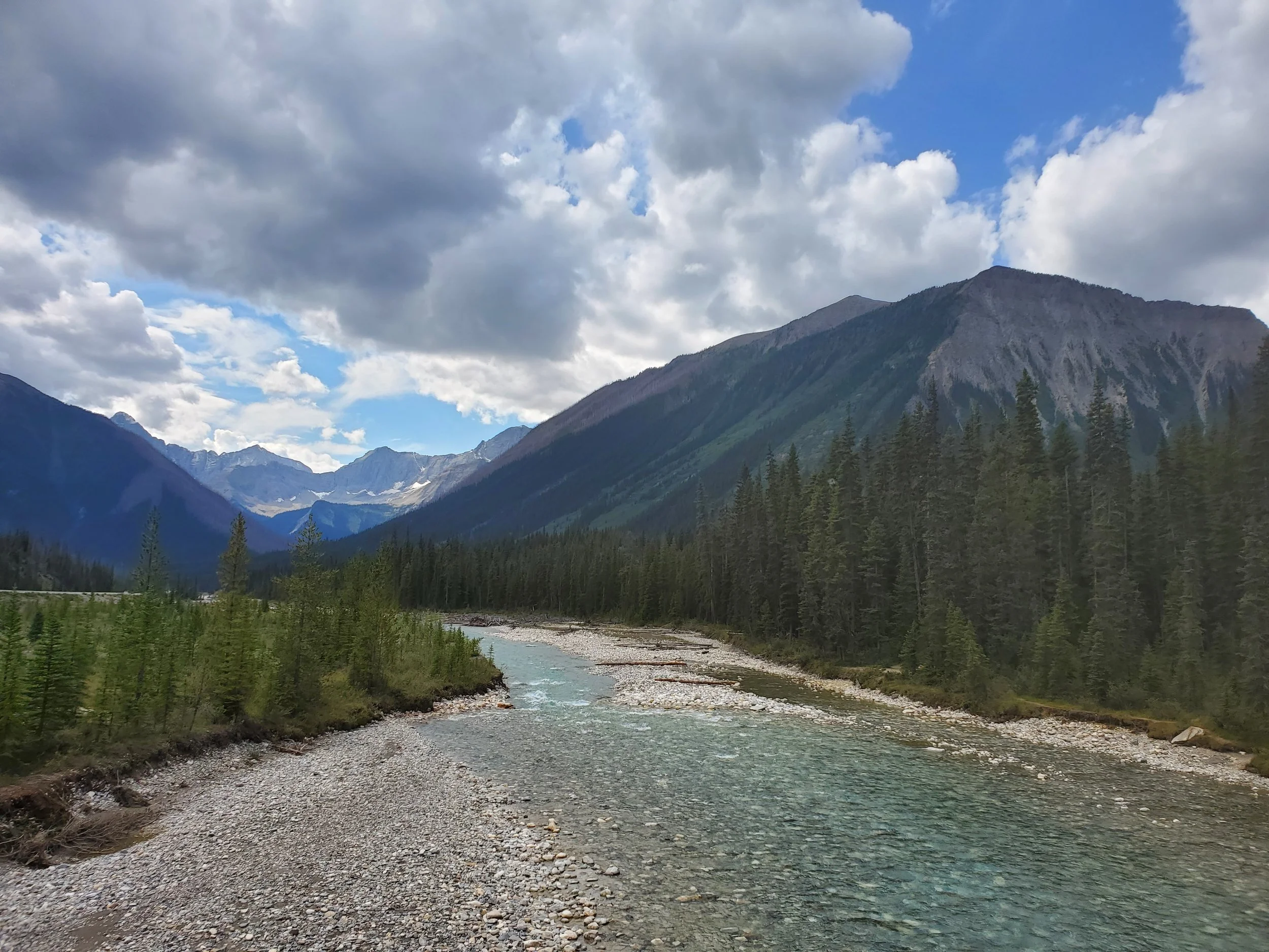 shallow river flowing through pine trees with mountainous landscape in Kootenay national park canada
