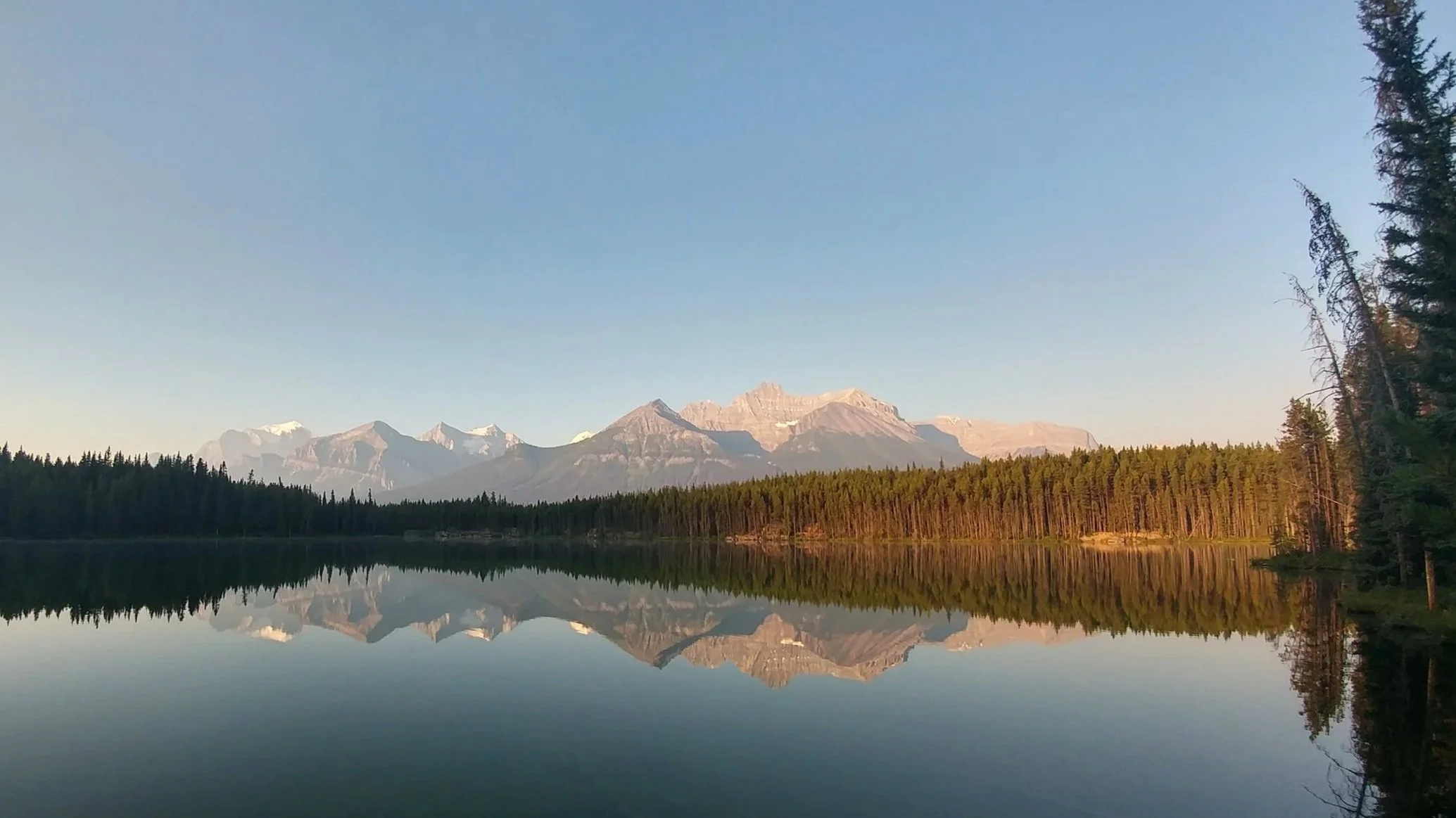 misty mountains and pine tree lit in soft morning light reflected perfectly in the mirror like lake