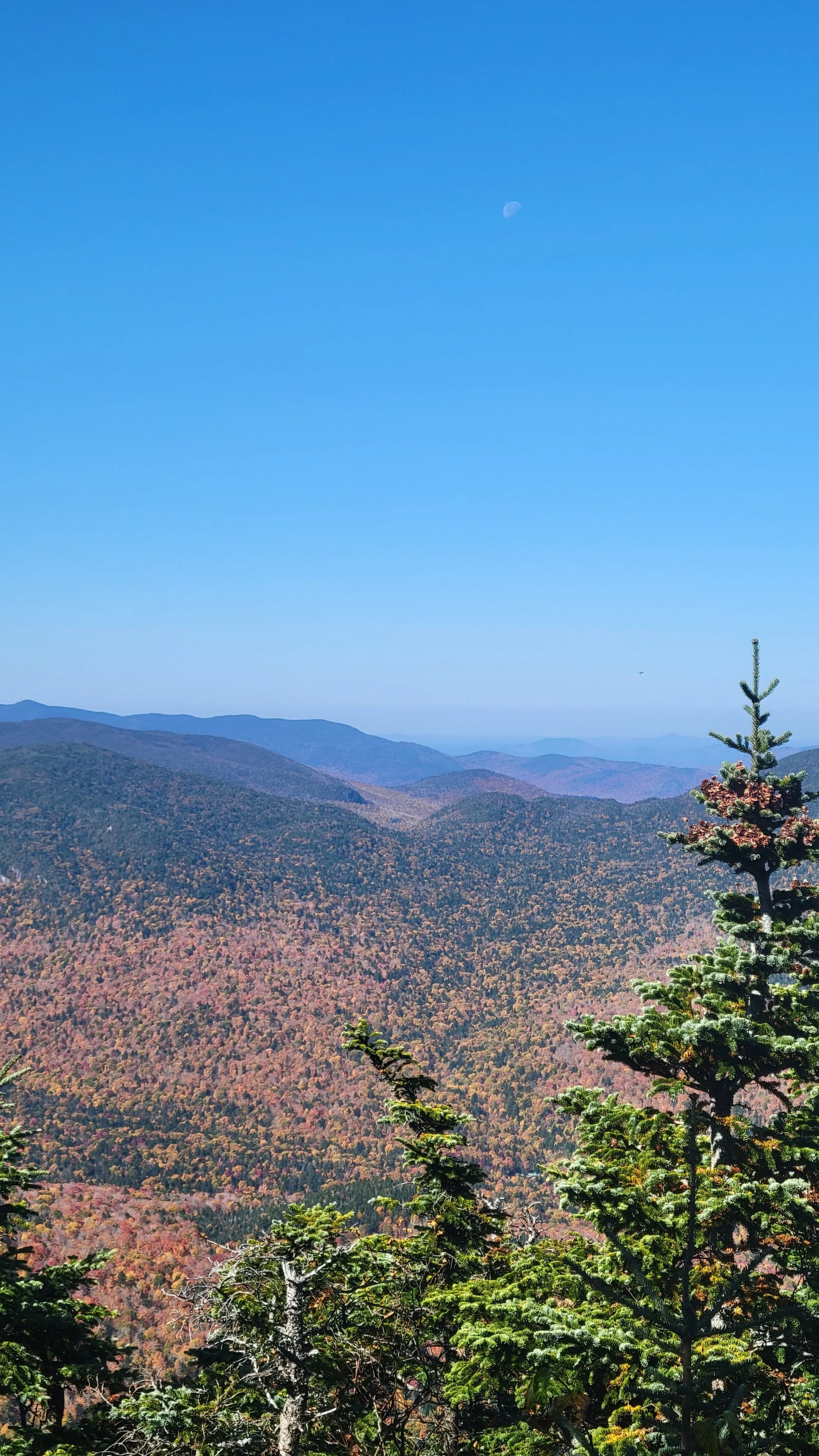 fall colours of warm oranges and yellows on rolling mountains and hills