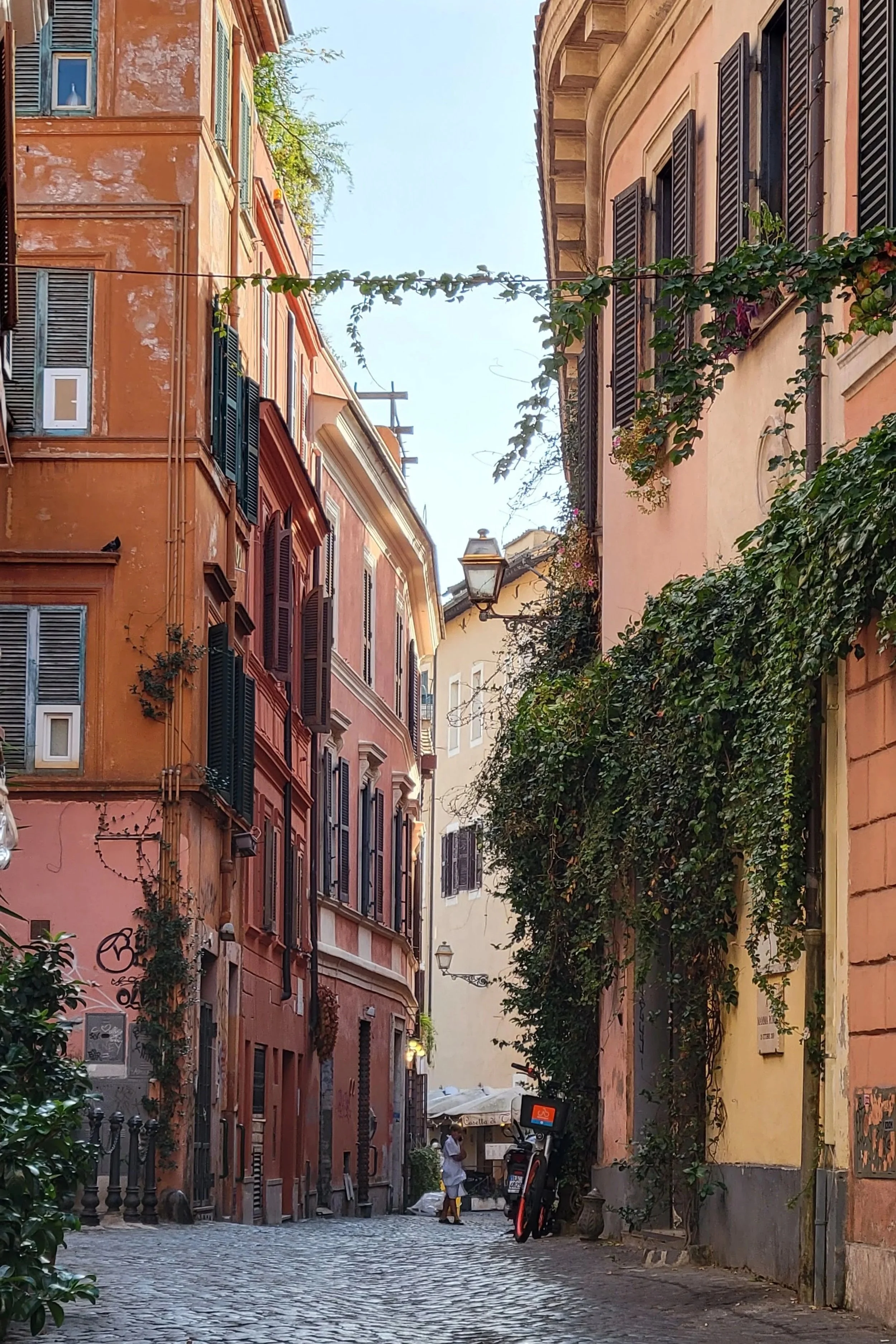 A colourful street in Trastavere, Rome. Ivy is hanging from the pastel walls, a scooter leans against a building lining the cobblestone street.