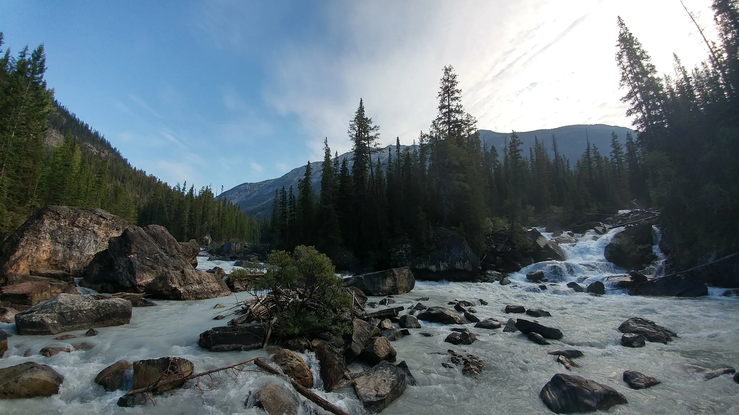 two rushing rivers meeting in the middle of a pine forest. the left river water is a cloudy grey, while the right river water is a clearer blue hue.