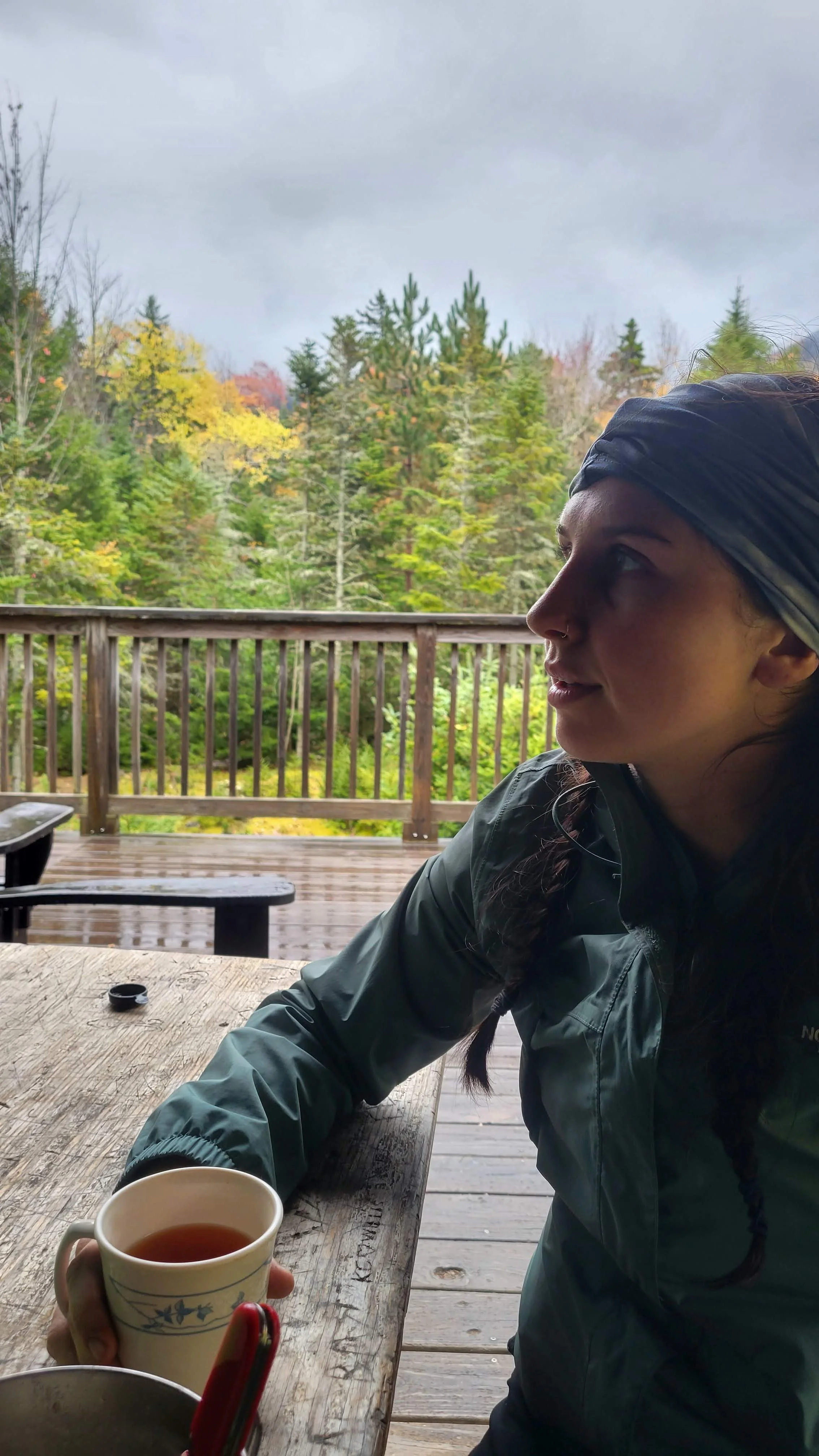 cup of tea at JBL cabin in High Peaks Adirondacks