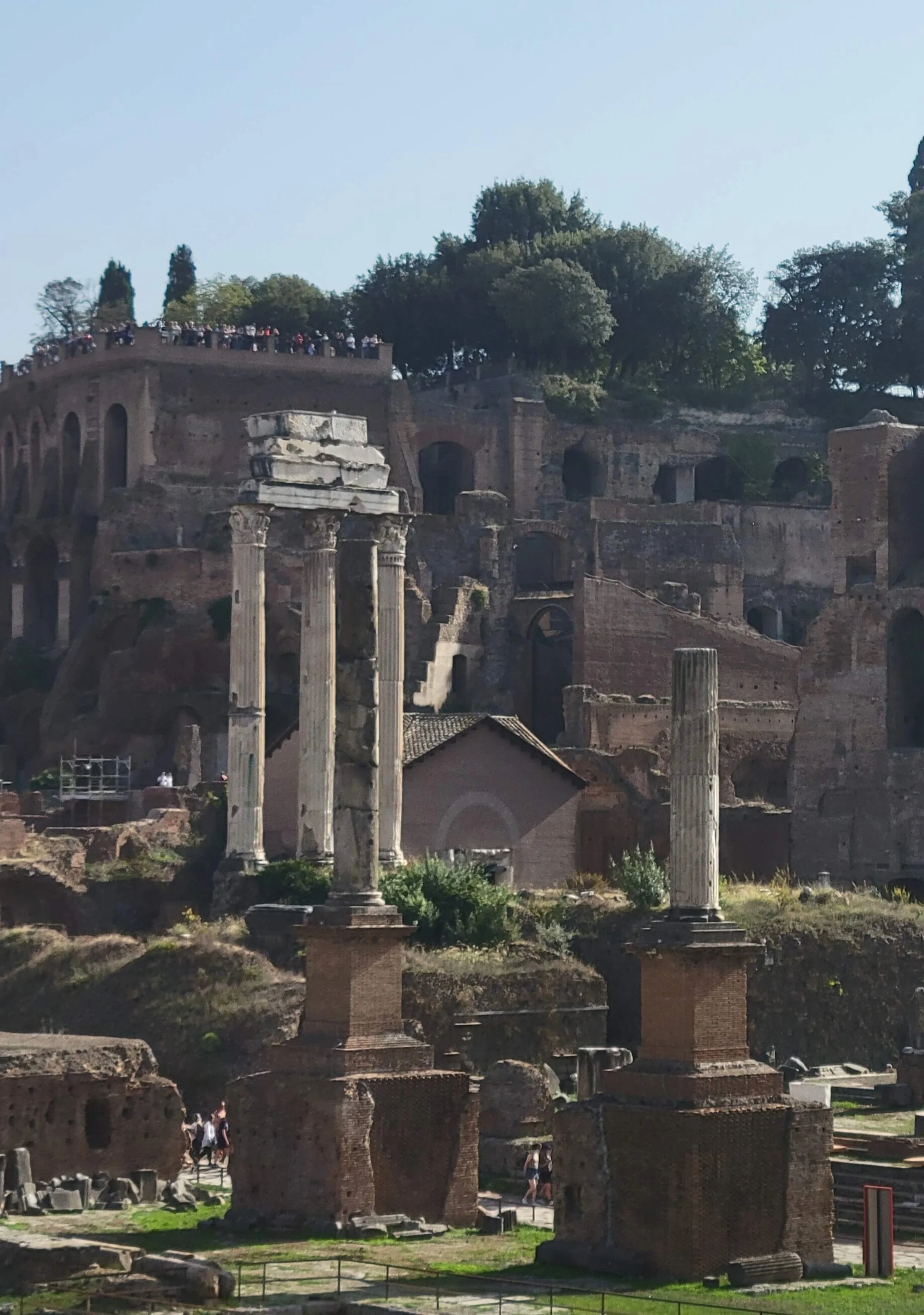 A shot of the ancient Roman Forum in Rome, looking toward Palatine Hill. In the foreground there are ancient, white columns and ruins.