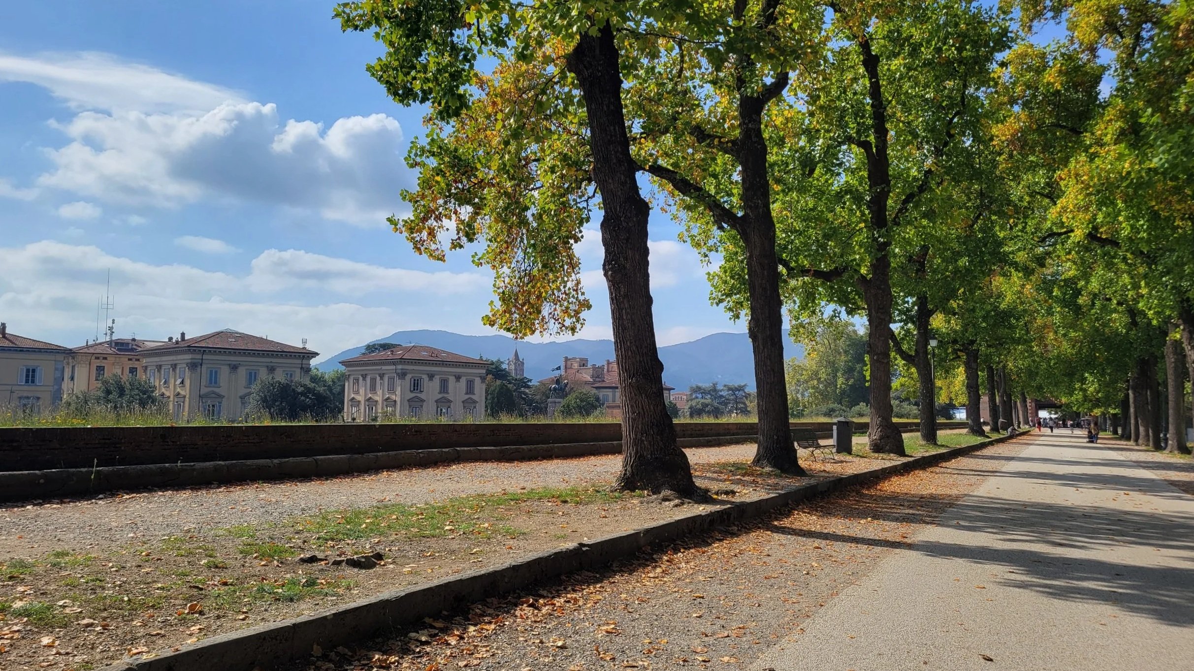Walking on the old defensive walls of Lucca in Tuscany trees lining a wide path with walkers and bikers hills rolling in the distance