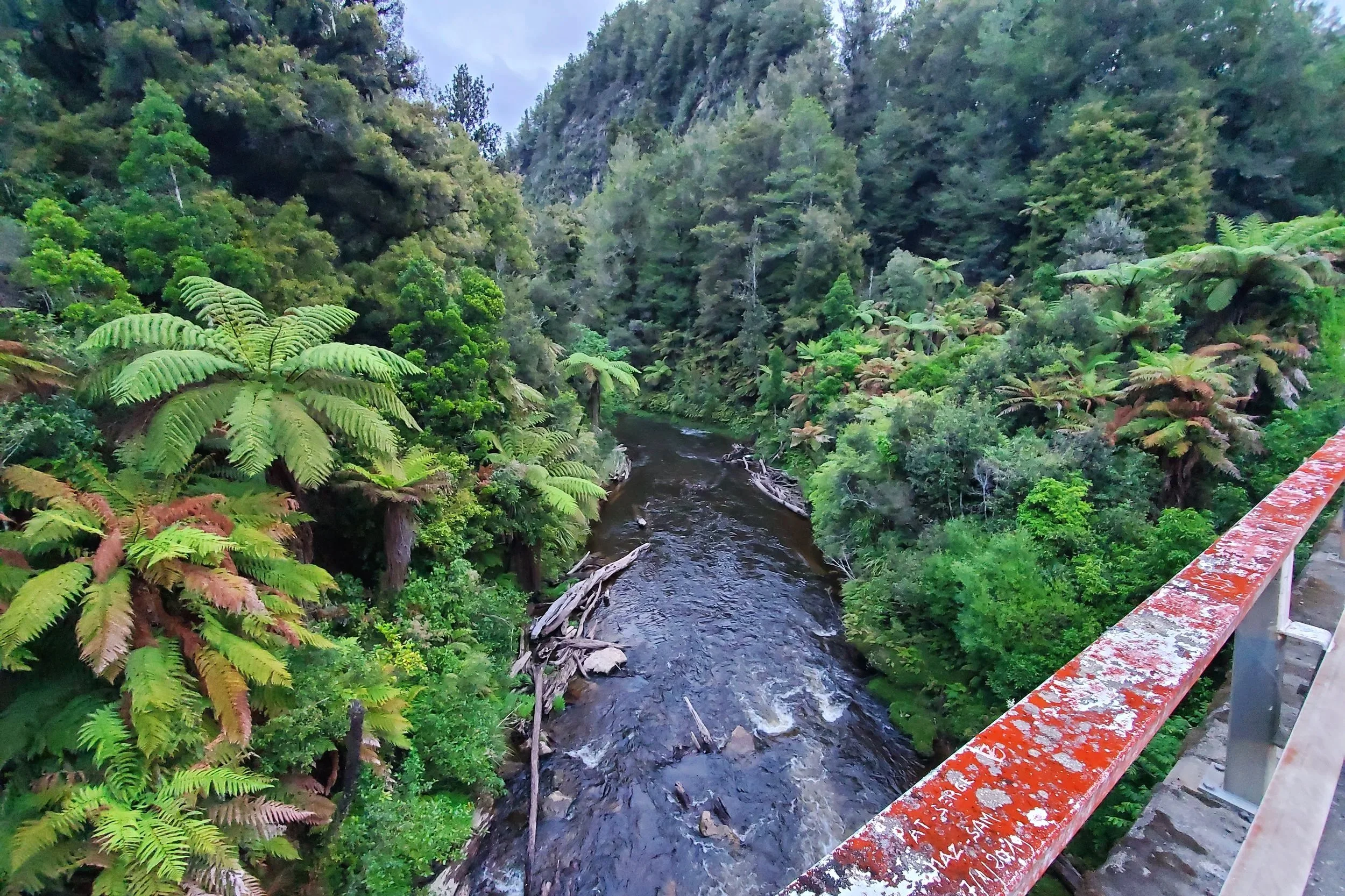 river flows through thick green forest. fallen branches waterlogged on river bank. Red guardrail