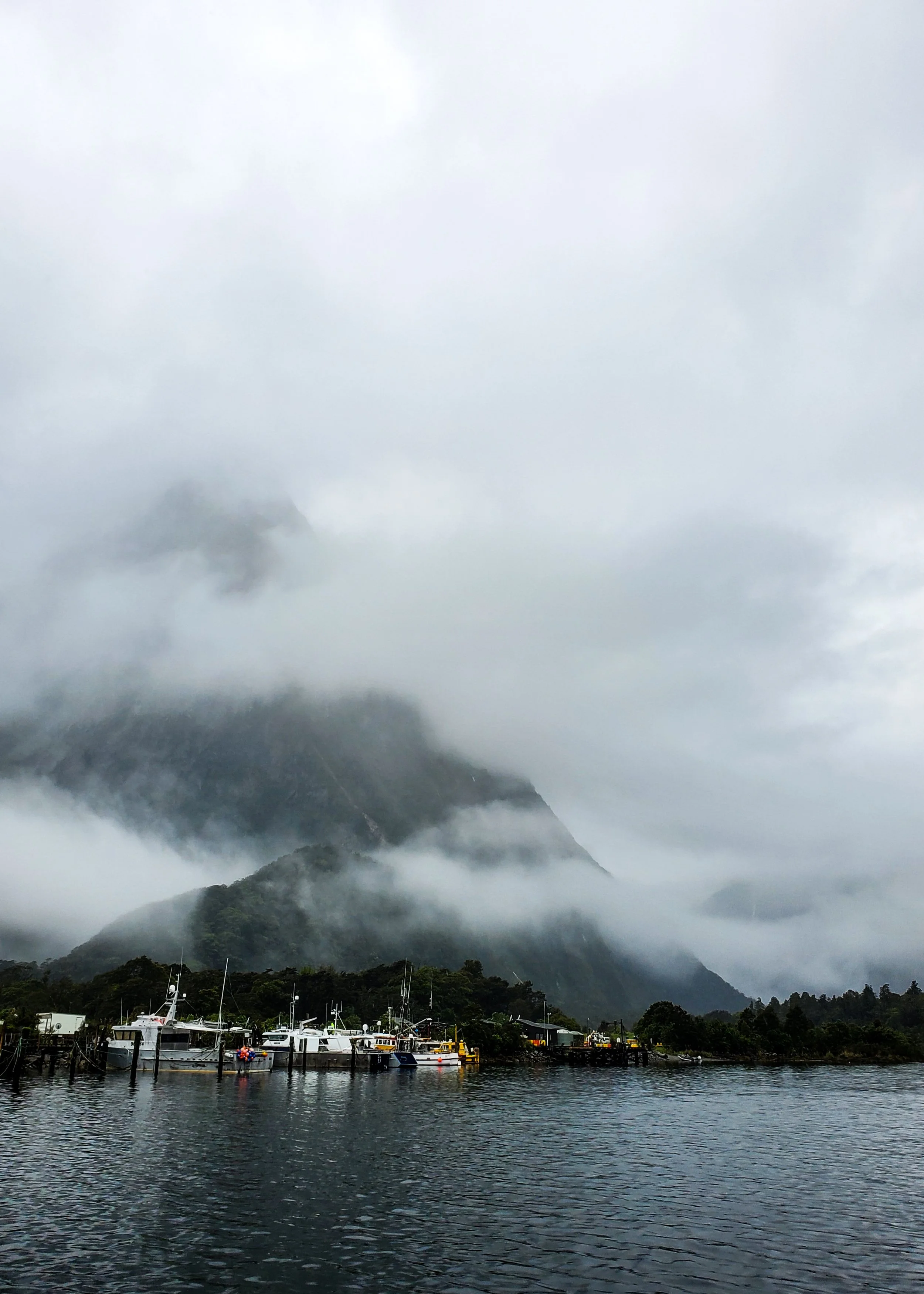 New Zealand's Milford Sound on a foggy day. Clouds overlay the mountainy terrain in the background. Ships are moored in the water