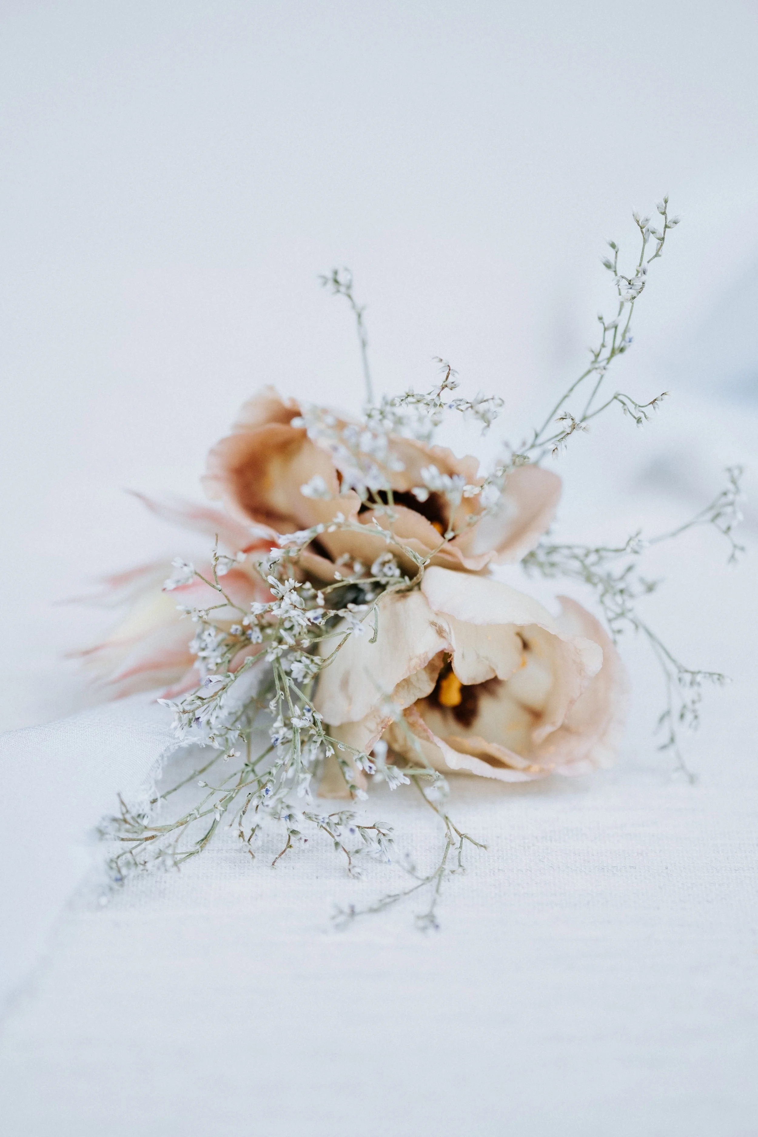 A soft pink flower with delicate white baby's breath and greenery, arranged on a white surface.