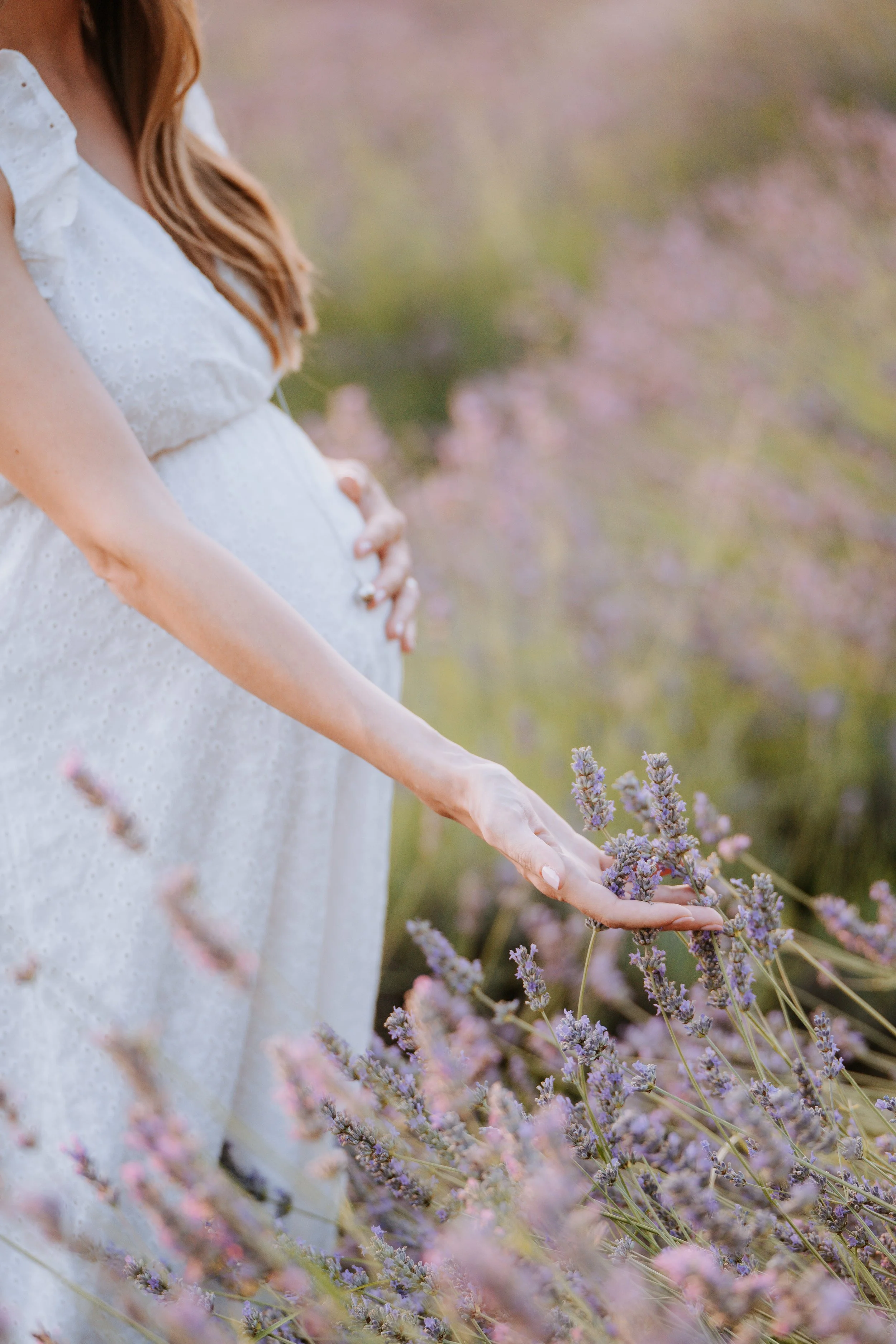 Pregnant woman in a white dress touching lavender flowers in a field.
