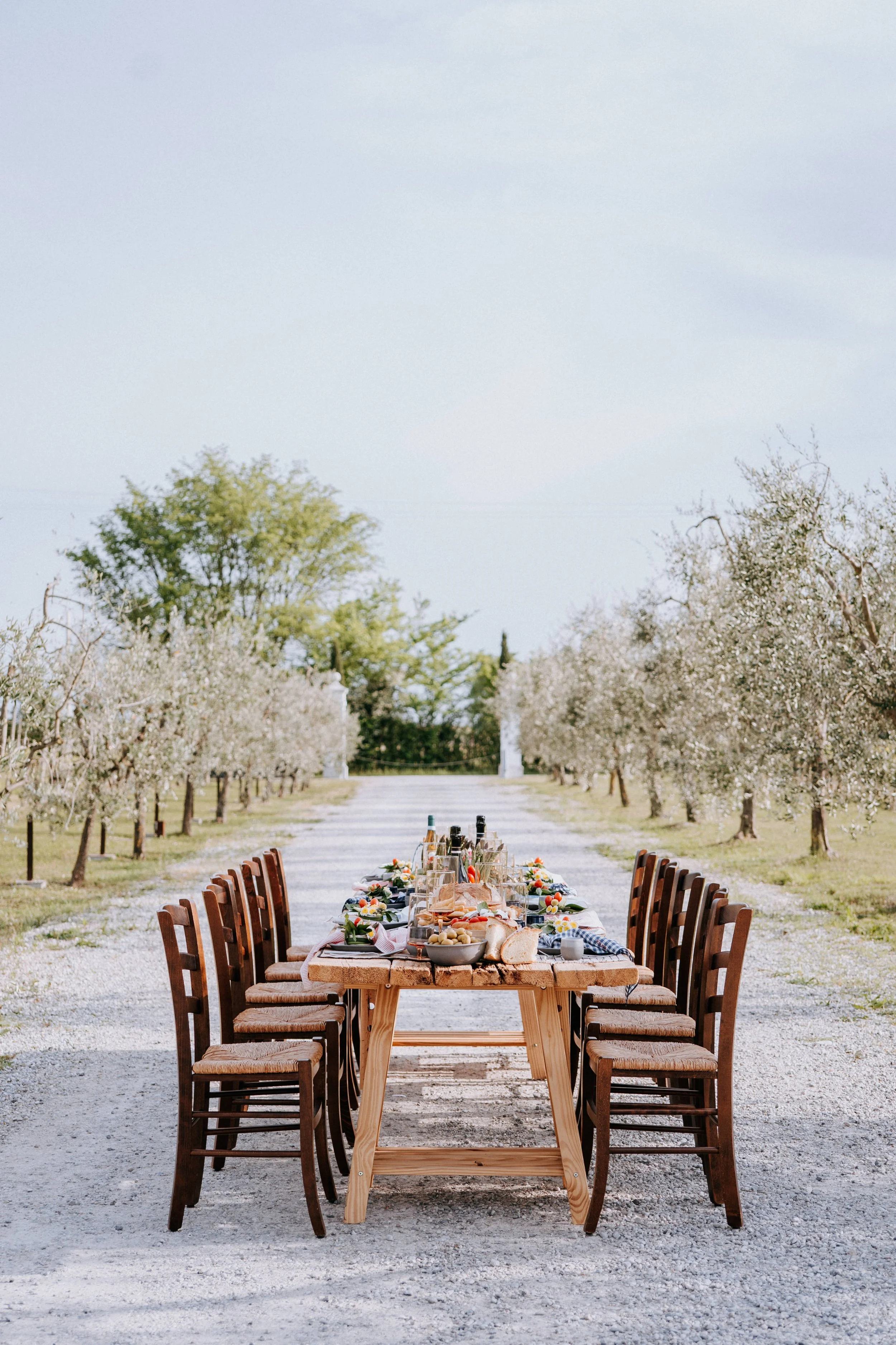 An outdoor dining table set with plates, glasses, and food in a blossoming orchard with trees and a gravel pathway.