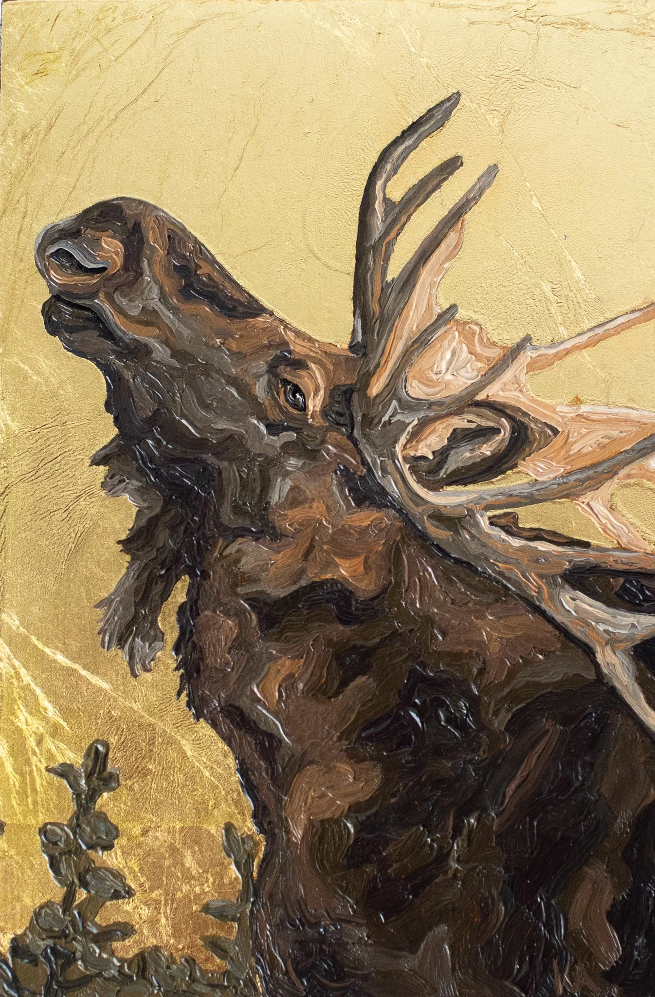 %22Bull Moose%22 - KAdams-1.jpg