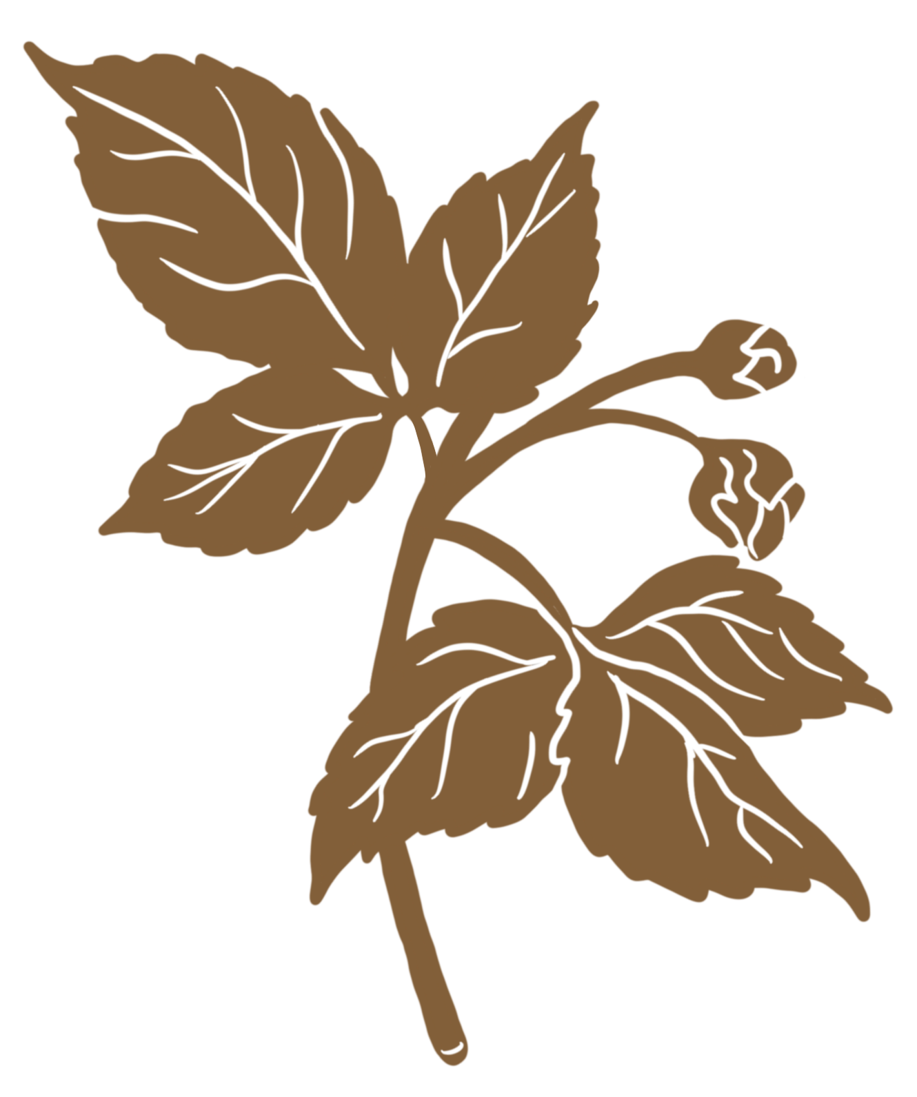 Illustration of brown leaves and small buds.