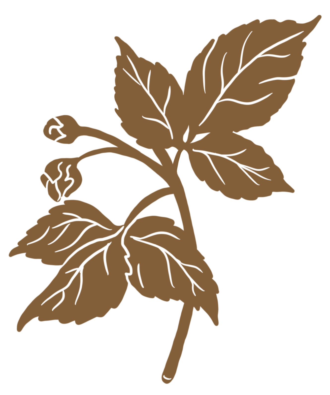 A stylized illustration of a raspberry branch.