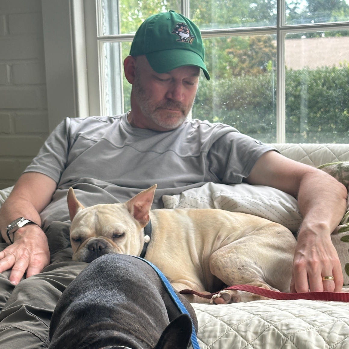 Collared, Tagged and Slightly Under Control