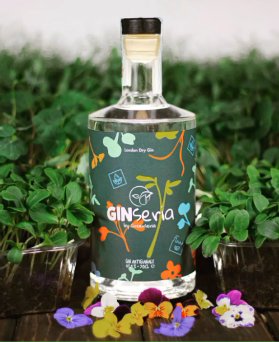 Evento GINseria