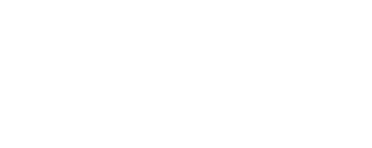 Over 30 Partner Shops