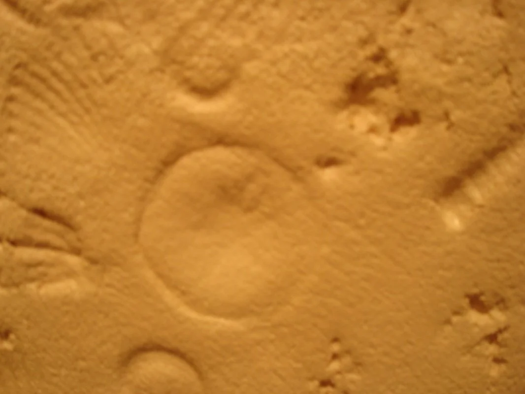 9934229_orig.jpg