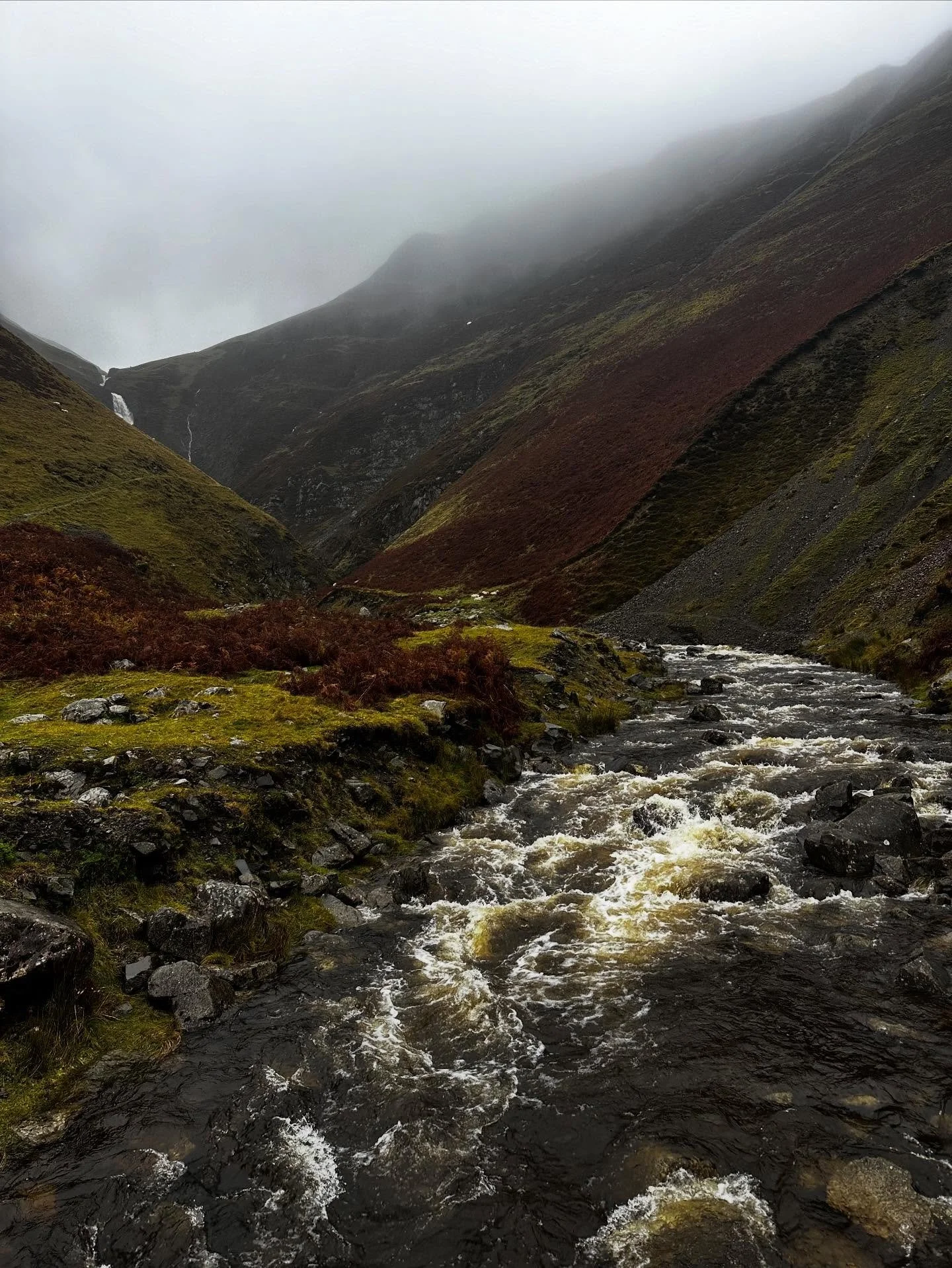 I&rsquo;m going to be in Scotland for the next few weeks. Not tattooing this time 🩵

Still taking bookings for January onwards @fableandfawntattoo - but might take a while to reply to messages. Fully booked for December ✨

See you all in the winter 
