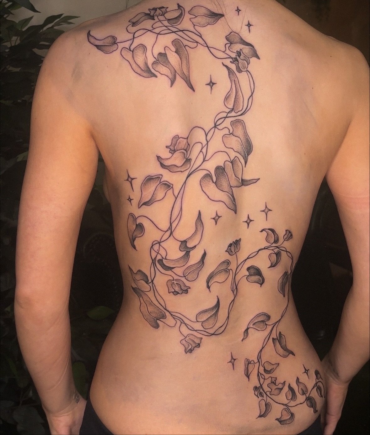 A full back vine made in one day session for lovely &amp; tough @libertycutts ❦ 

I loved making this! Inspired by Italian naturalist Ulisse Aldrovandi&rsquo;s illustrative research ✺