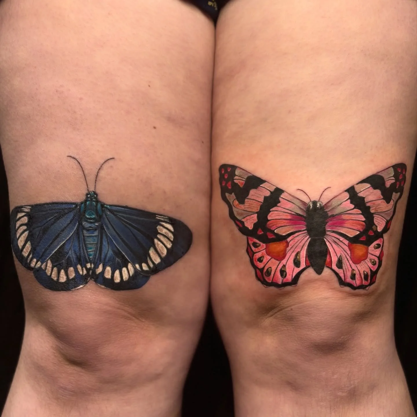I really enjoy making tattoos that sit in symmetrical placements like this butterfly &amp; moth ✤ ☾

I&rsquo;d love to tattoo more winged creatures in colour, DM to book 🦋🧚&zwj;♂️